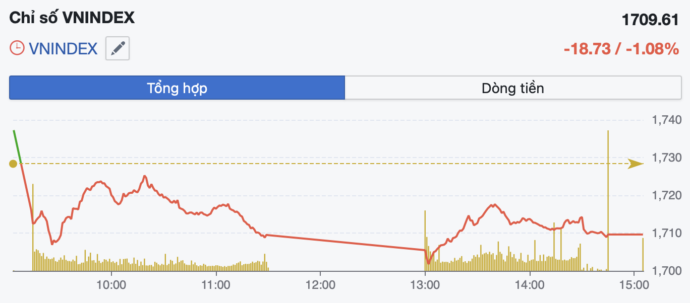 Áp lực bán tại nhóm vốn hóa lớn gia tăng, VN-Index giảm gần 19 điểm - Ảnh 1.