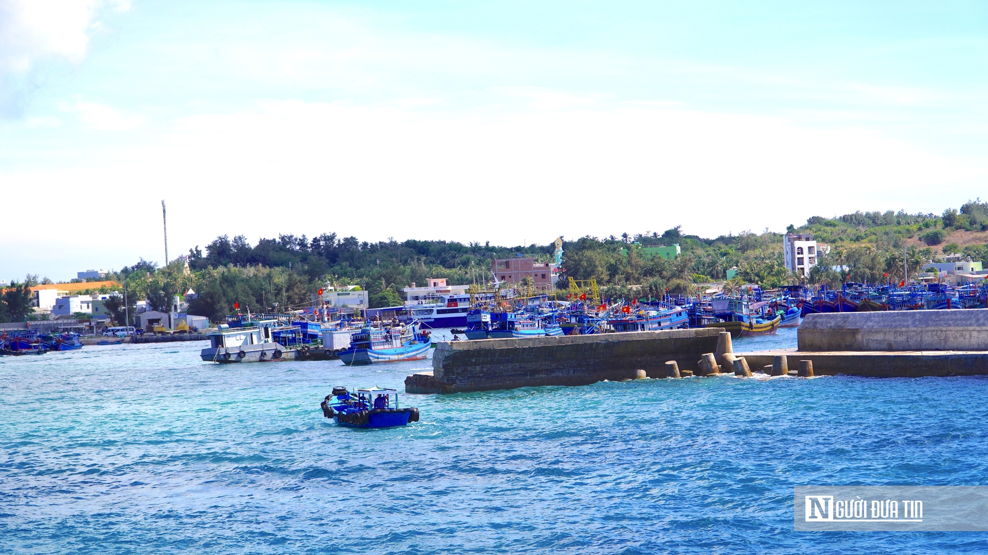 Từ đảo xa Ph&uacute; Qu&yacute; đến cảng c&aacute; Phan Thiết, ngư d&acirc;n hướng về ng&agrave;y bầu cử- Ảnh 5.