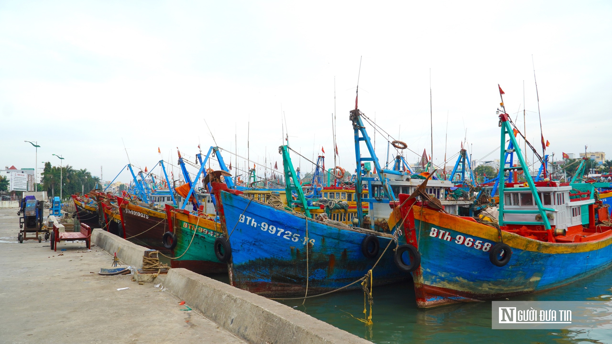 Từ đảo xa Ph&uacute; Qu&yacute; đến cảng c&aacute; Phan Thiết, ngư d&acirc;n hướng về ng&agrave;y bầu cử- Ảnh 8.