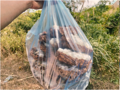 Con đặc sản “nhìn đã thấy sợ” ở Tây Bắc xưa không ai ngó, nay thành món ăn được dân nhậu mê tít săn lùng- Ảnh 1. Con đặc sản “nhìn đã thấy sợ” ở Tây Bắc xưa không ai ngó, nay thành món ăn được dân nhậu mê tít săn lùng- Ảnh 1.