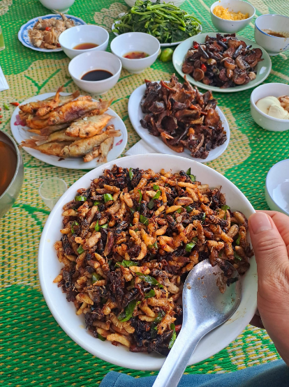 Con đặc sản “nhìn đã thấy sợ” ở Tây Bắc xưa không ai ngó, nay thành món ăn được dân nhậu mê tít săn lùng- Ảnh 4. Con đặc sản “nhìn đã thấy sợ” ở Tây Bắc xưa không ai ngó, nay thành món ăn được dân nhậu mê tít săn lùng- Ảnh 4.