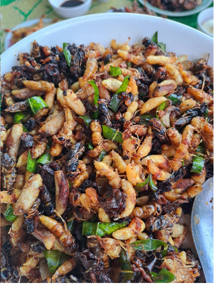 Con đặc sản “nhìn đã thấy sợ” ở Tây Bắc xưa không ai ngó, nay thành món ăn được dân nhậu mê tít săn lùng- Ảnh 6. Con đặc sản “nhìn đã thấy sợ” ở Tây Bắc xưa không ai ngó, nay thành món ăn được dân nhậu mê tít săn lùng- Ảnh 6.