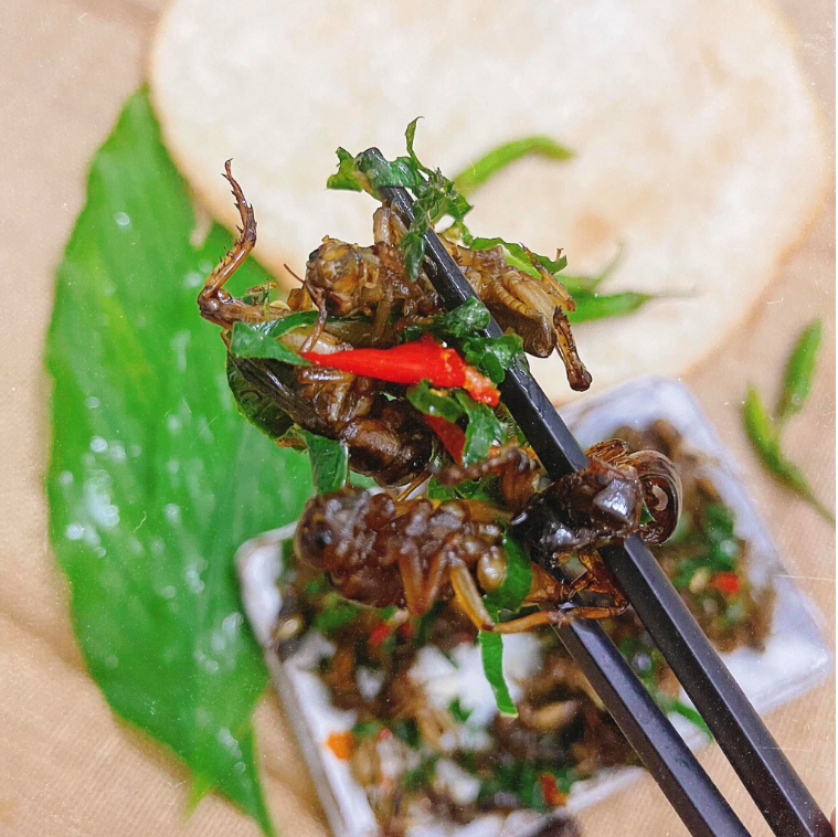 Con đặc sản “xấu xí” xưa không ai ngó, nay thành đặc sản Tây Bắc lạ miệng, dân nhậu mê tít săn lùng - Ảnh 5.