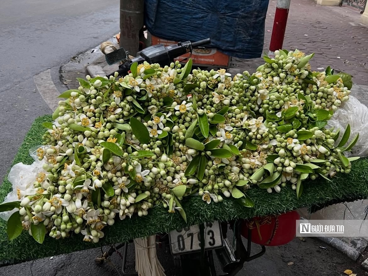 Hương bưởi th&aacute;ng Ba l&agrave;m dịu l&ograve;ng phố H&agrave; Nội- Ảnh 6.