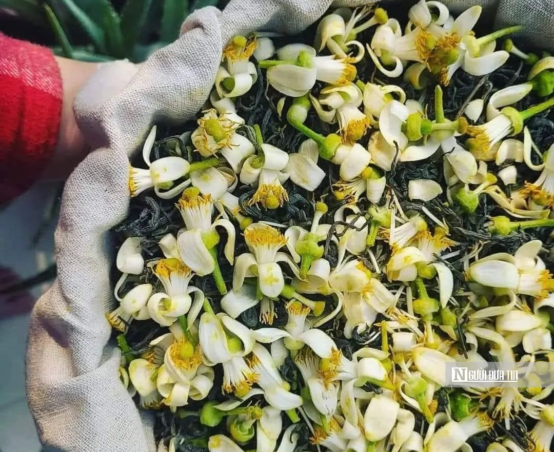 Hương bưởi th&aacute;ng Ba l&agrave;m dịu l&ograve;ng phố H&agrave; Nội- Ảnh 8.