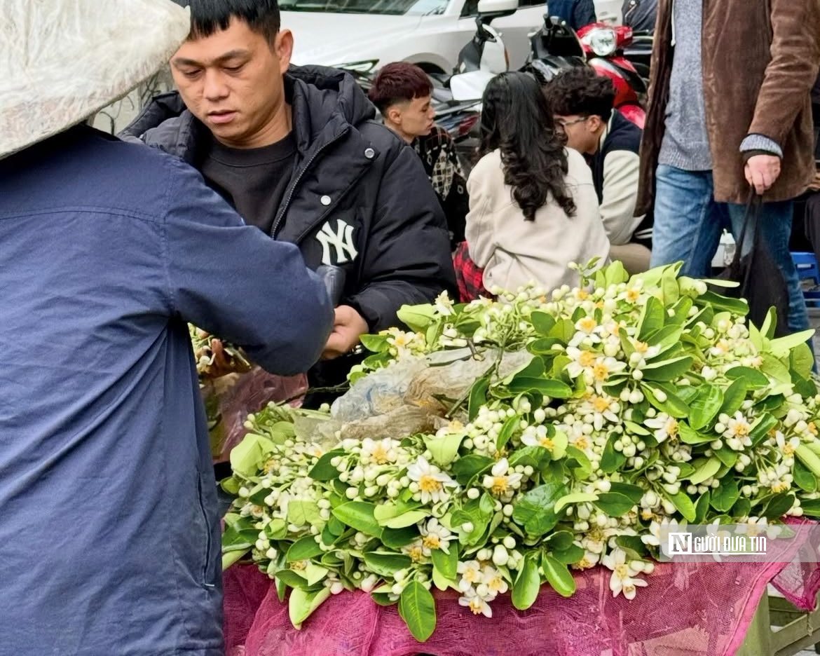 Hương bưởi th&aacute;ng Ba l&agrave;m dịu l&ograve;ng phố H&agrave; Nội- Ảnh 9.