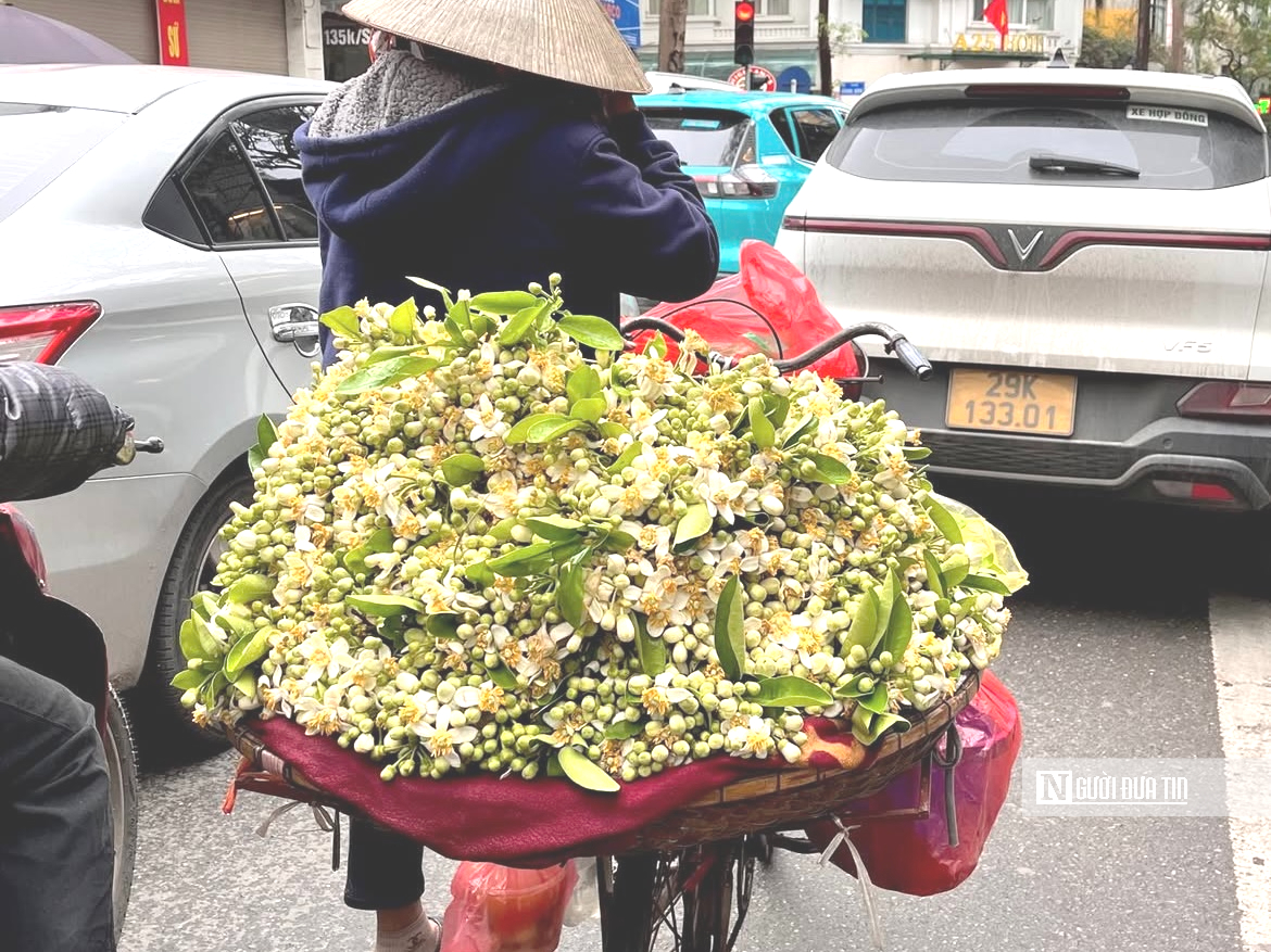 Hương bưởi th&aacute;ng Ba l&agrave;m dịu l&ograve;ng phố H&agrave; Nội- Ảnh 1.