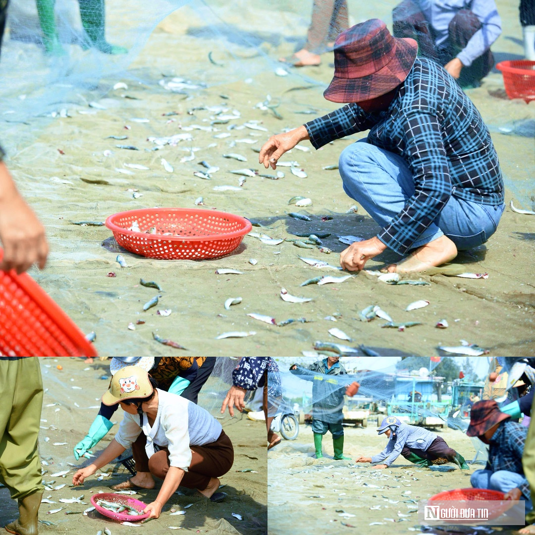 L&atilde;i mỏng v&igrave; xăng dầu tăng gi&aacute;, ngư d&acirc;n xứ Thanh vẫn b&aacute;m biển m&ugrave;a c&aacute; tr&iacute;ch  - Ảnh 5.