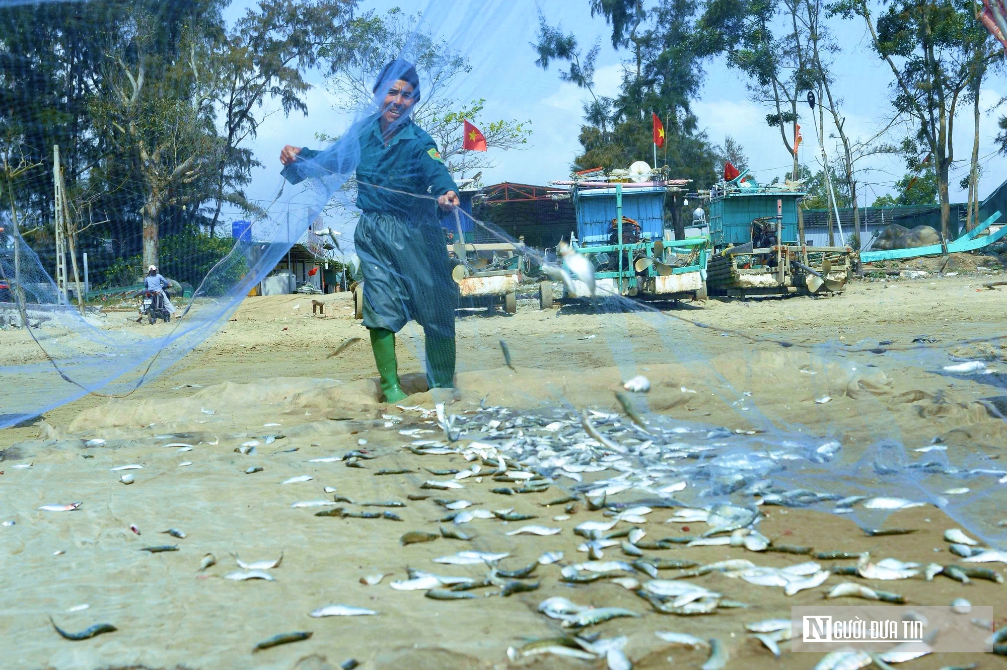 L&atilde;i mỏng v&igrave; xăng dầu tăng gi&aacute;, ngư d&acirc;n xứ Thanh vẫn b&aacute;m biển m&ugrave;a c&aacute; tr&iacute;ch  - Ảnh 6.