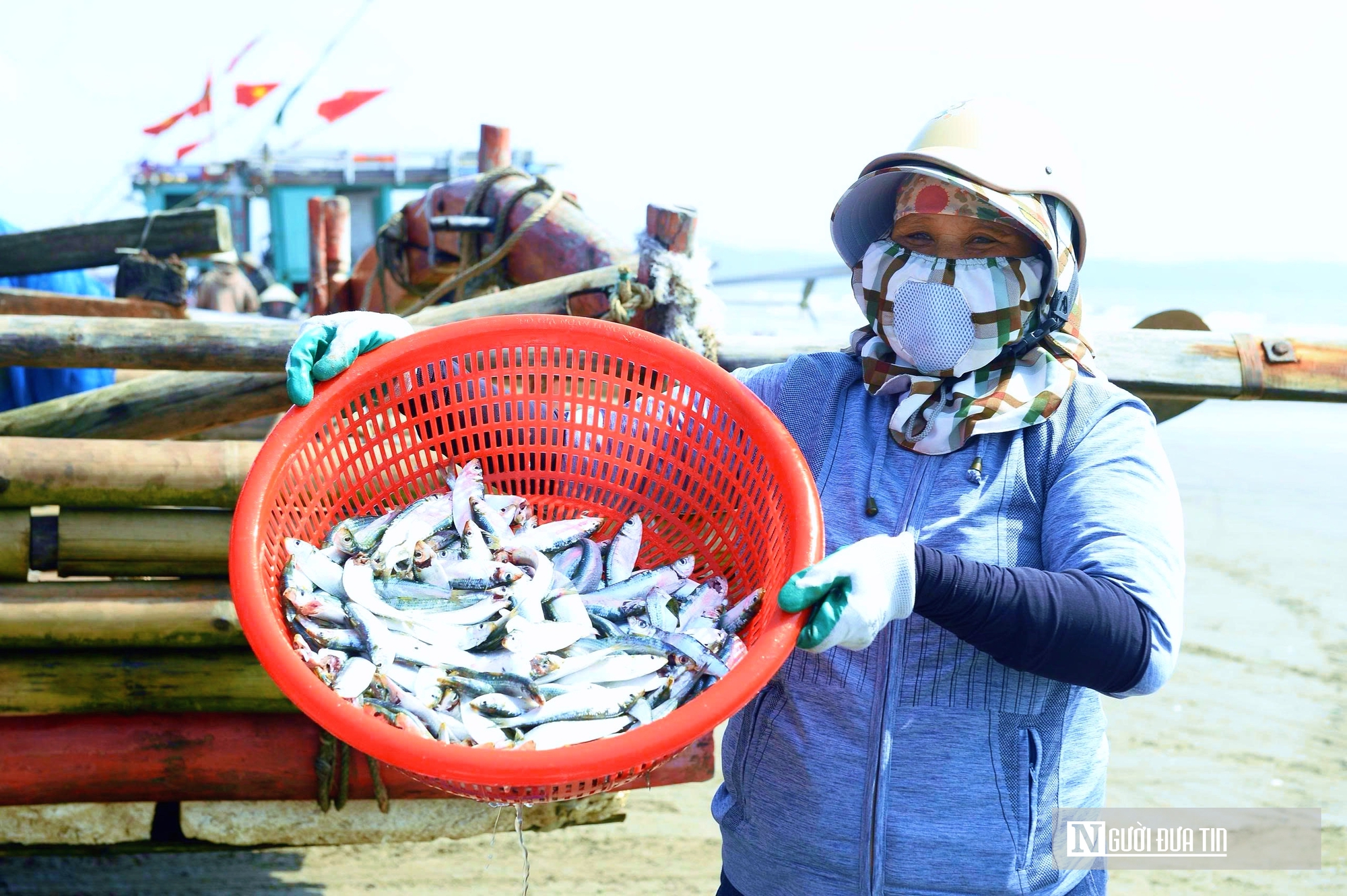 L&atilde;i mỏng v&igrave; xăng dầu tăng gi&aacute;, ngư d&acirc;n xứ Thanh vẫn b&aacute;m biển m&ugrave;a c&aacute; tr&iacute;ch  - Ảnh 7.