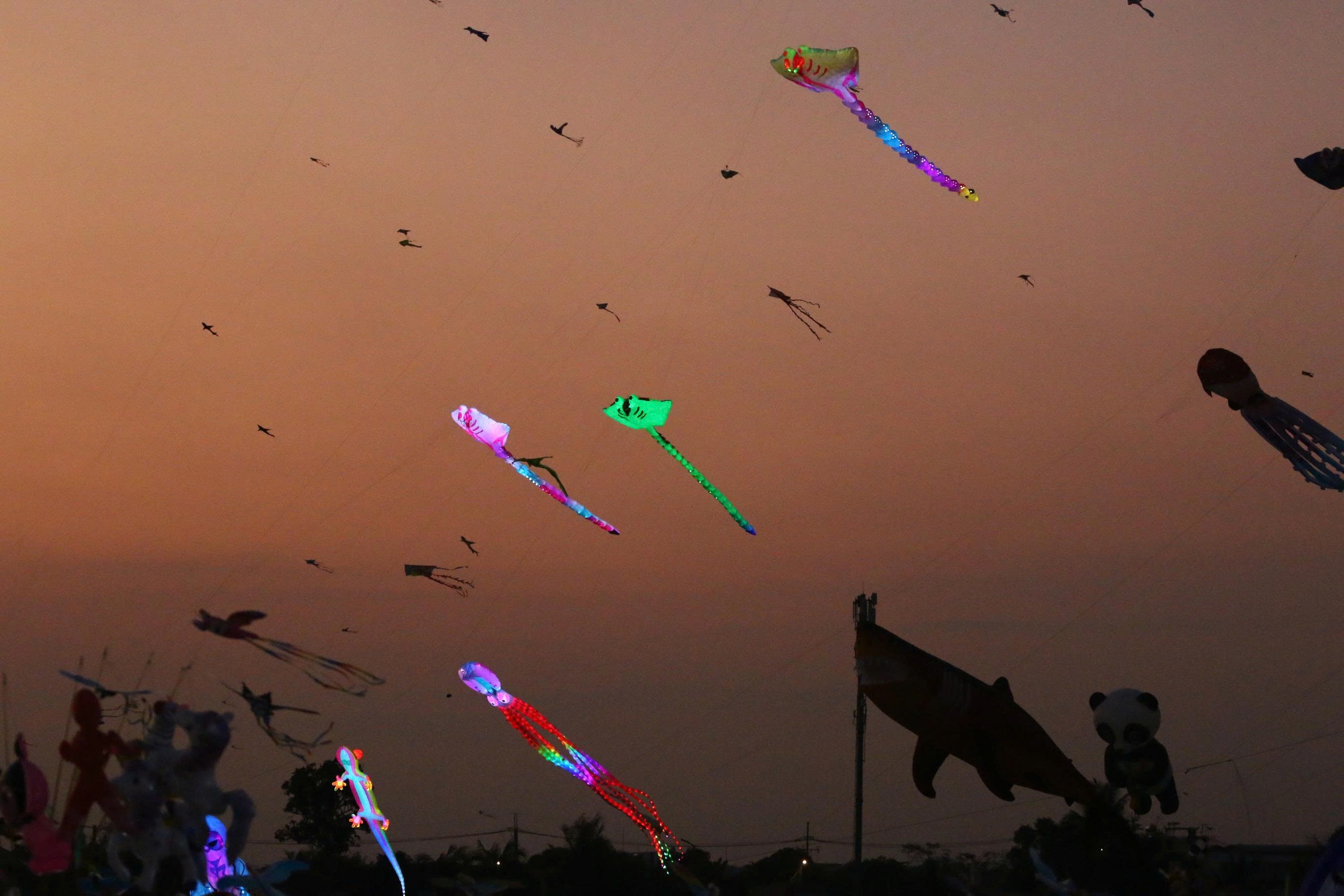 &ldquo;Biển diều&rdquo; khổng lồ phủ k&iacute;n đồng diều H&oacute;c M&ocirc;n, người d&acirc;n đổ về đ&ocirc;ng nghịt mỗi ng&agrave;y- Ảnh 23.