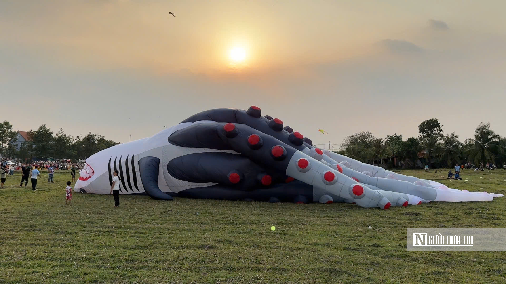 &ldquo;Biển diều&rdquo; khổng lồ phủ k&iacute;n đồng diều H&oacute;c M&ocirc;n, người d&acirc;n đổ về đ&ocirc;ng nghịt mỗi ng&agrave;y- Ảnh 4.