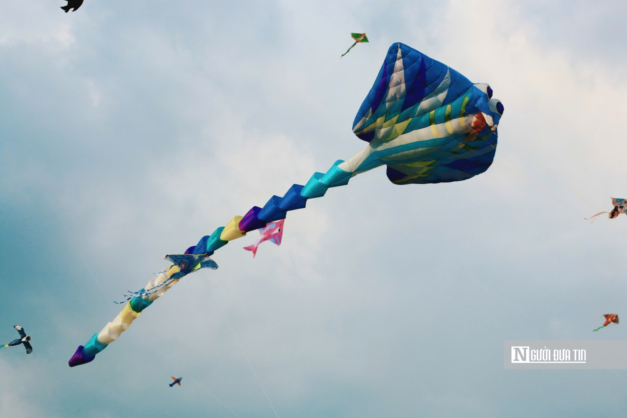 &ldquo;Biển diều&rdquo; khổng lồ phủ k&iacute;n đồng diều H&oacute;c M&ocirc;n, người d&acirc;n đổ về đ&ocirc;ng nghịt mỗi ng&agrave;y- Ảnh 8.