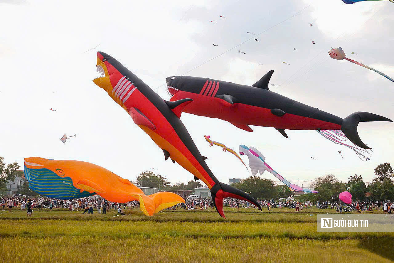 &ldquo;Biển diều&rdquo; khổng lồ phủ k&iacute;n đồng diều H&oacute;c M&ocirc;n, người d&acirc;n đổ về đ&ocirc;ng nghịt mỗi ng&agrave;y- Ảnh 9.
