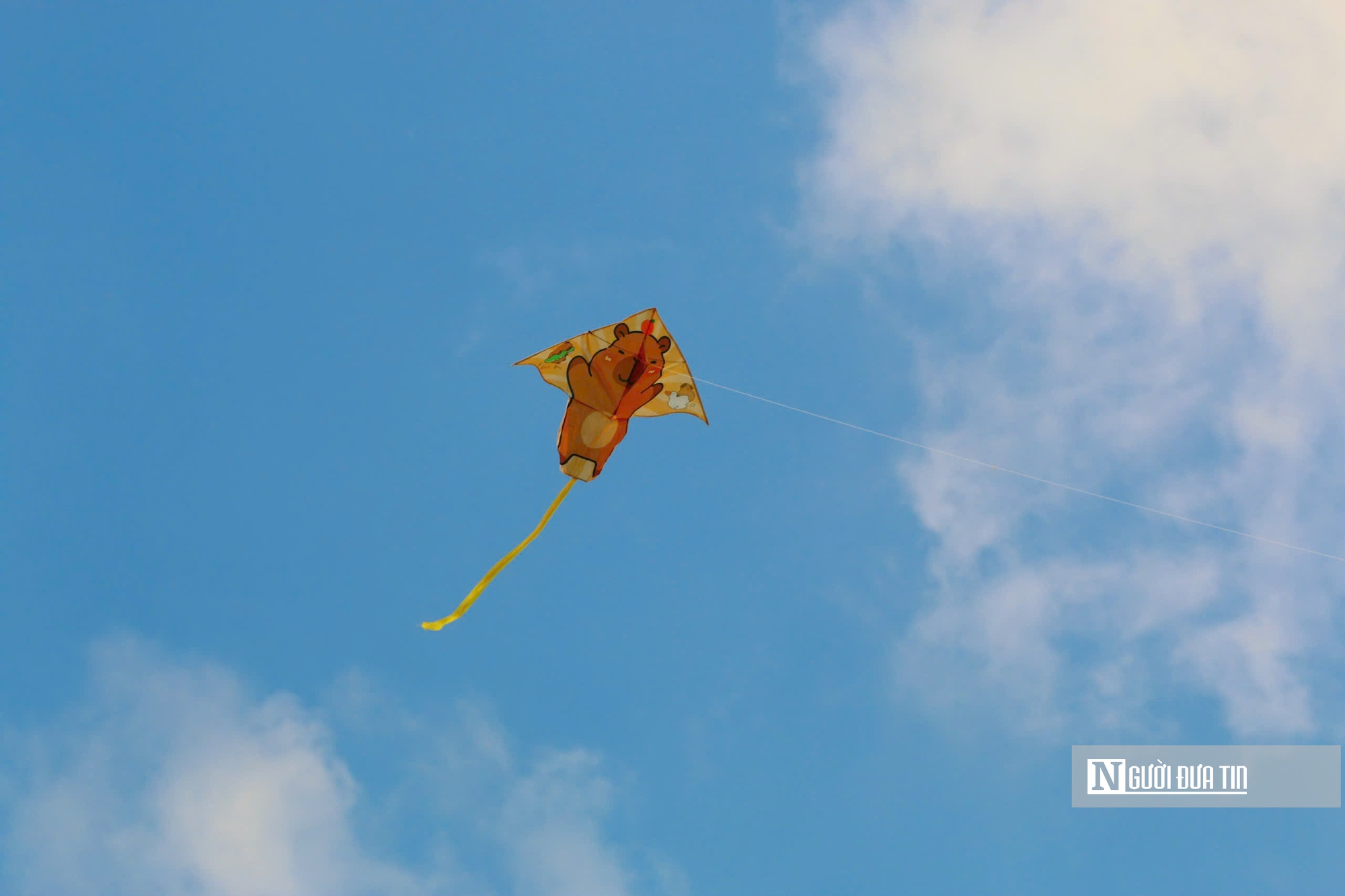 &ldquo;Biển diều&rdquo; khổng lồ phủ k&iacute;n đồng diều H&oacute;c M&ocirc;n, người d&acirc;n đổ về đ&ocirc;ng nghịt mỗi ng&agrave;y- Ảnh 15.