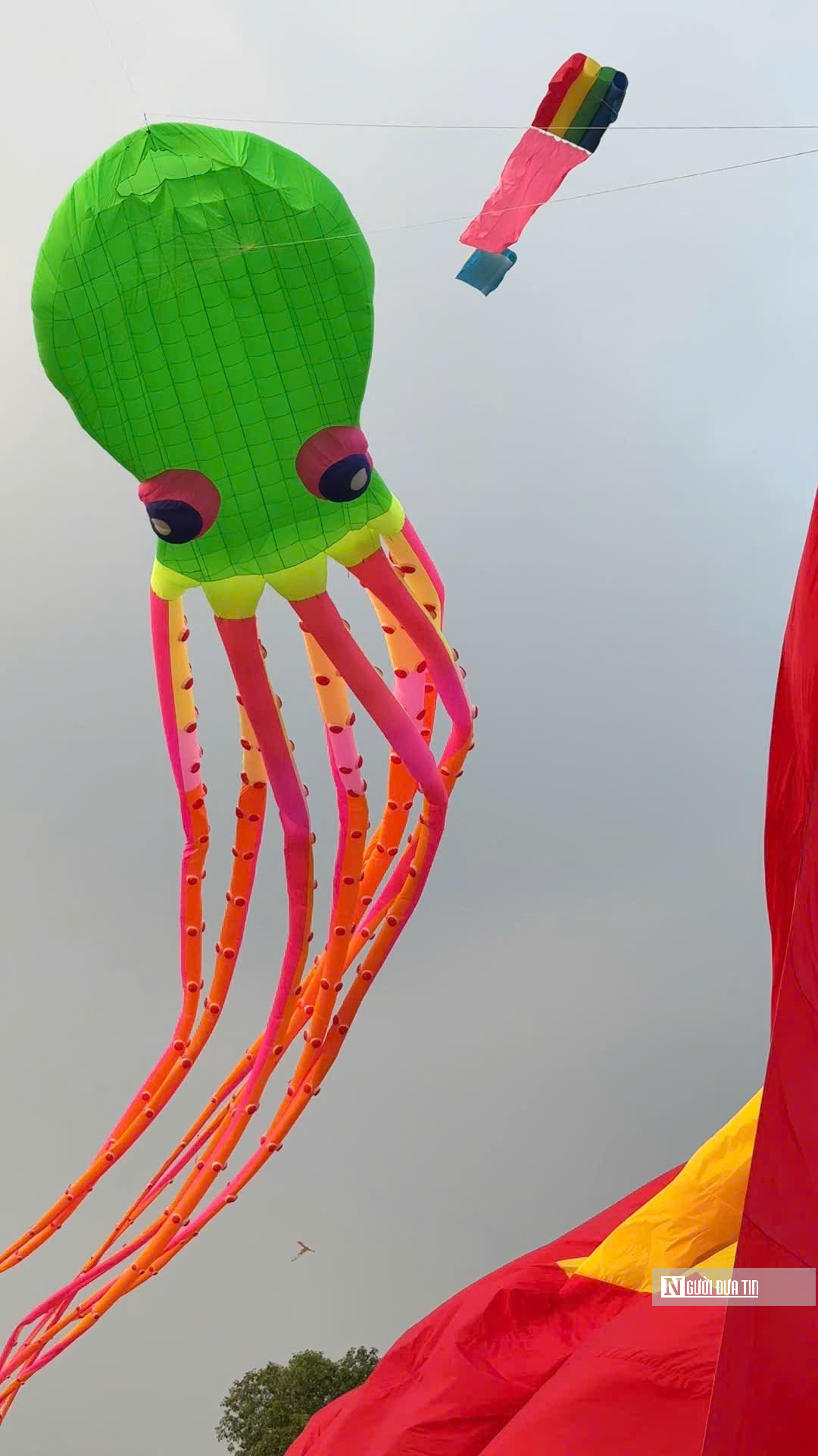 &ldquo;Biển diều&rdquo; khổng lồ phủ k&iacute;n đồng diều H&oacute;c M&ocirc;n, người d&acirc;n đổ về đ&ocirc;ng nghịt mỗi ng&agrave;y- Ảnh 16.