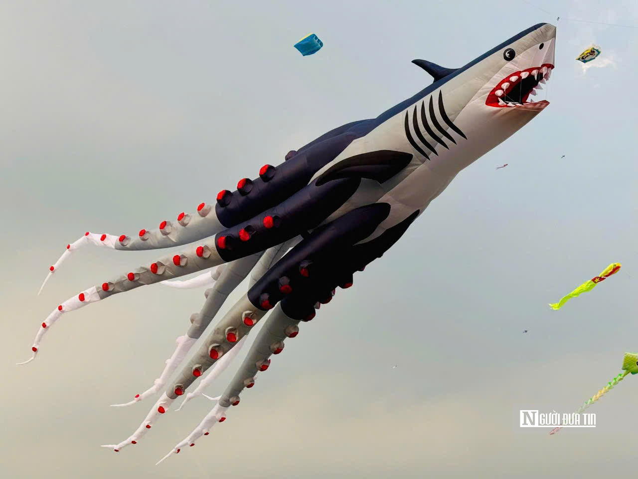 &ldquo;Biển diều&rdquo; khổng lồ phủ k&iacute;n đồng diều H&oacute;c M&ocirc;n, người d&acirc;n đổ về đ&ocirc;ng nghịt mỗi ng&agrave;y- Ảnh 5.