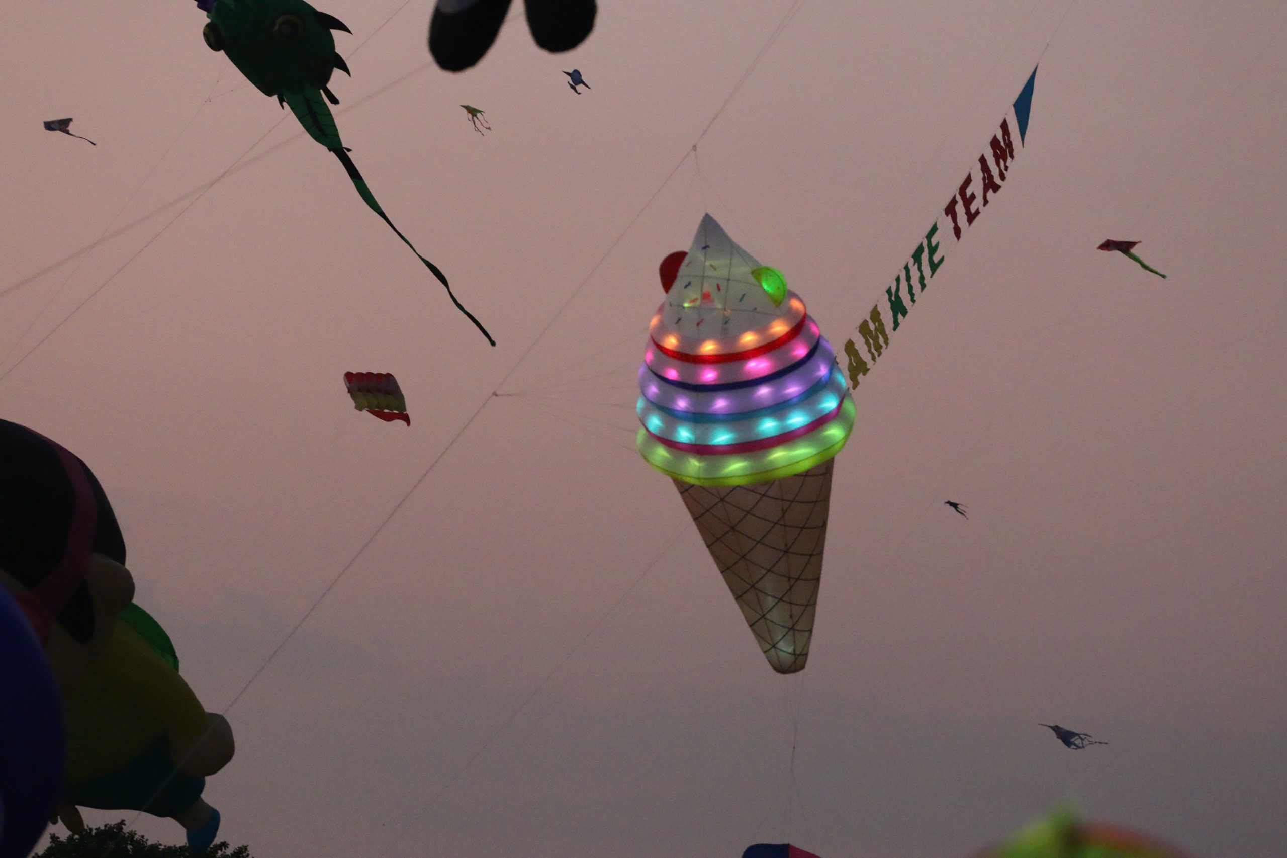 &ldquo;Biển diều&rdquo; khổng lồ phủ k&iacute;n đồng diều H&oacute;c M&ocirc;n, người d&acirc;n đổ về đ&ocirc;ng nghịt mỗi ng&agrave;y- Ảnh 24.