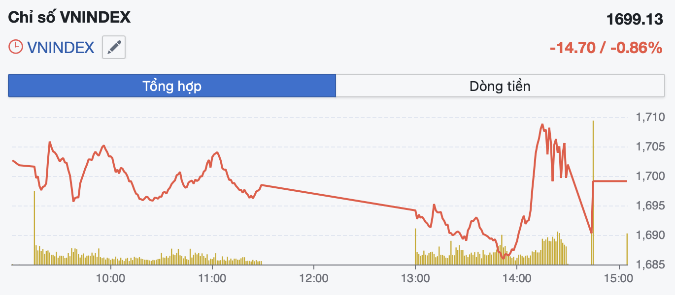 VN-Index mất mốc 1.700 điểm, áp lực bán lan rộng- Ảnh 1.