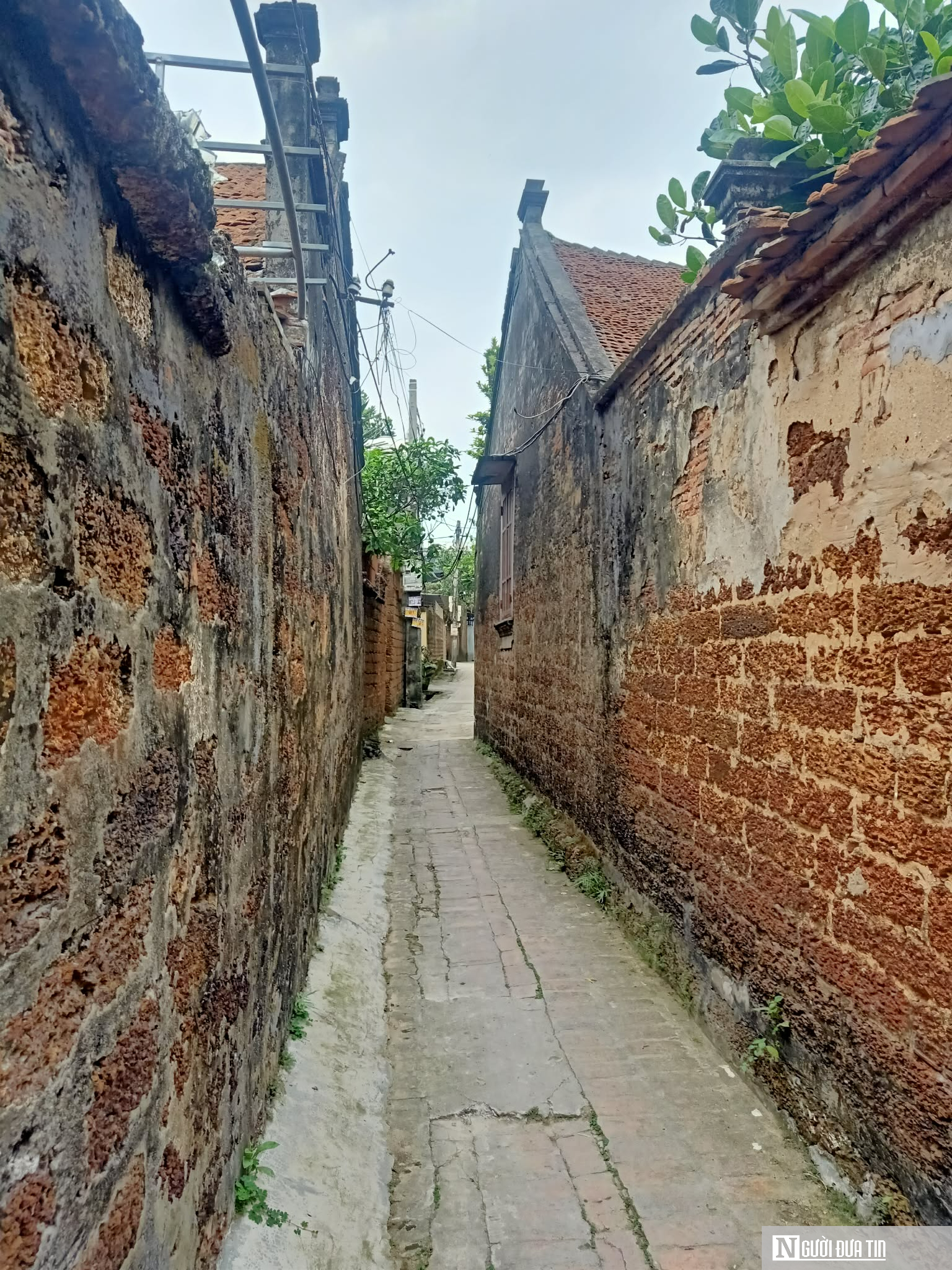 Chuyện những người sống trong nh&agrave; cổ gần 300 năm- Ảnh 4.