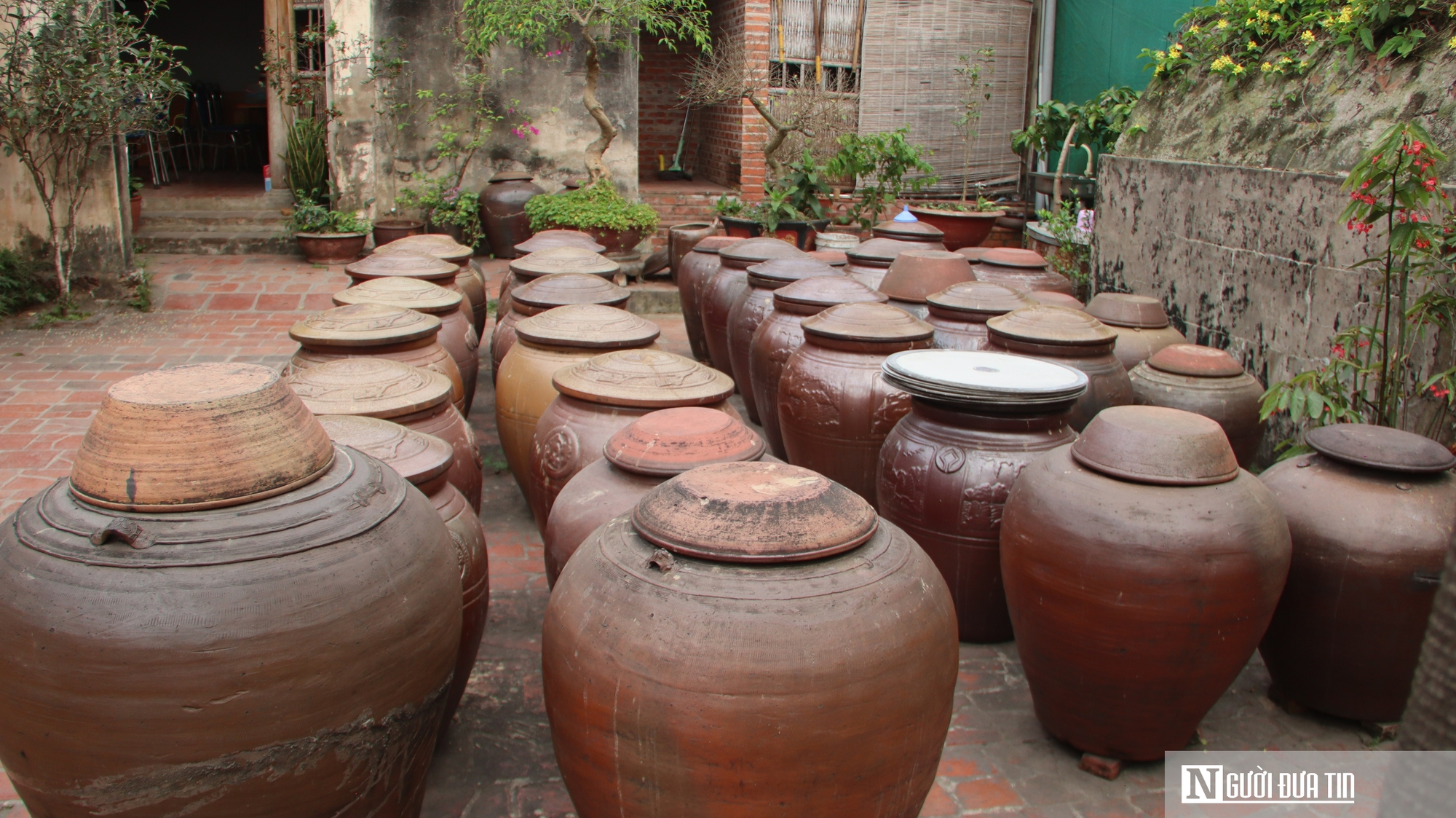 Chuyện những người sống trong nh&agrave; cổ gần 300 năm- Ảnh 6.