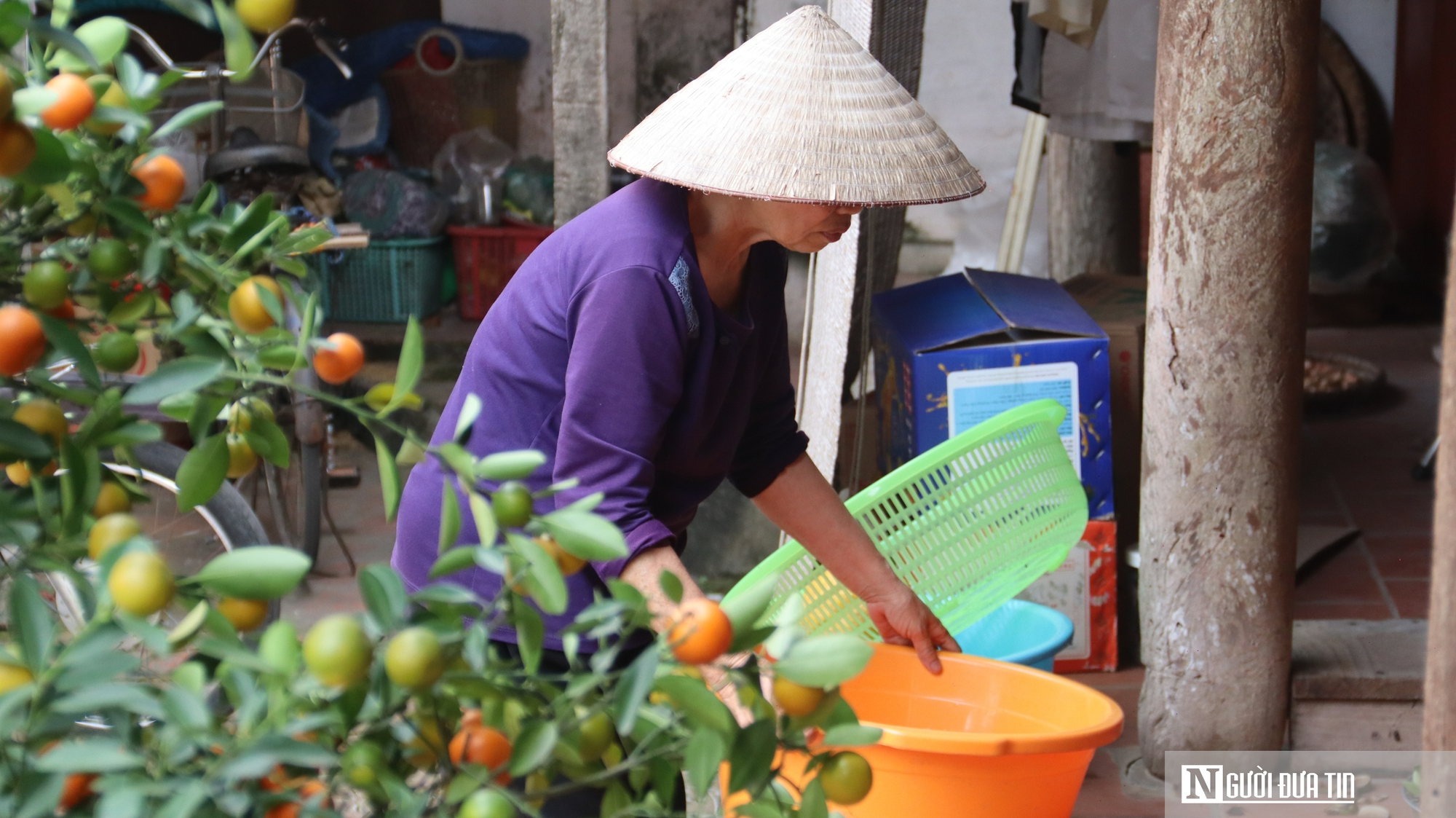 Chuyện những người sống trong nhà cổ gần 300 năm- Ảnh 3.