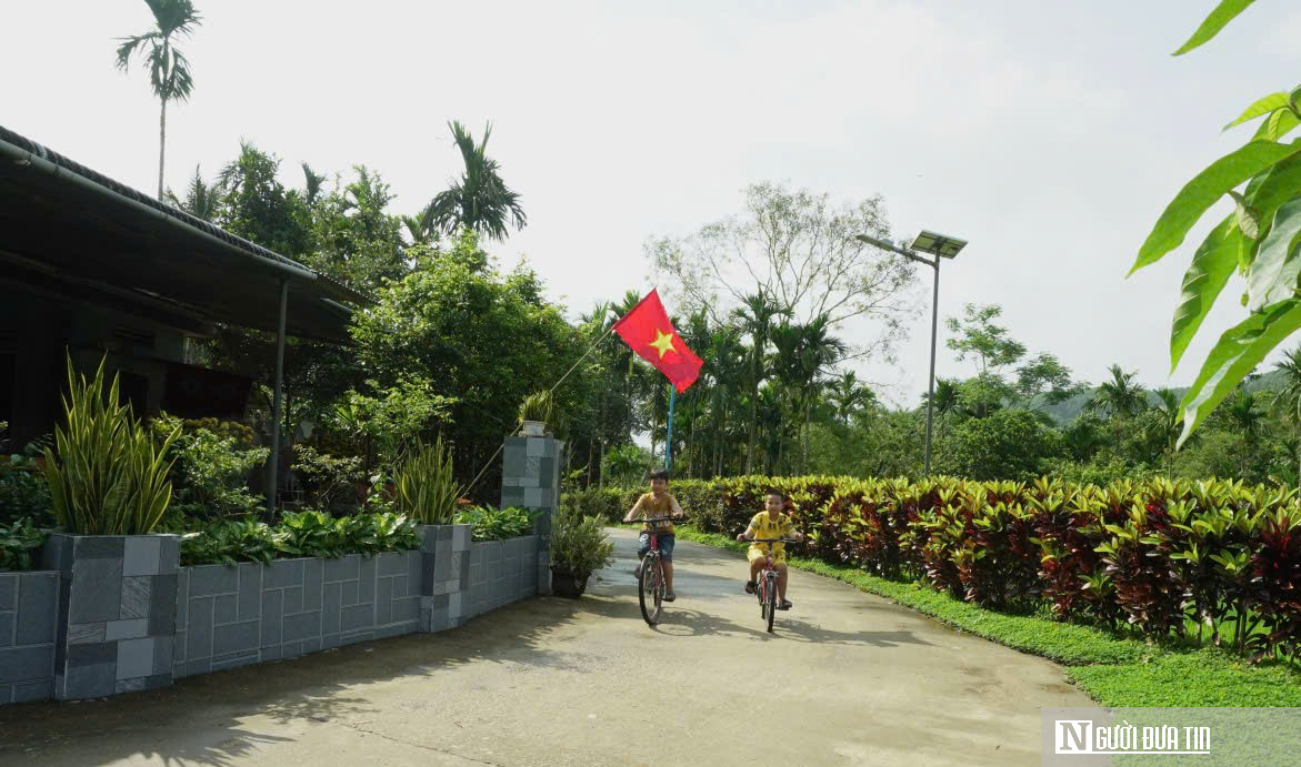 Đ&agrave; Nẵng: Ch&oacute; thả r&ocirc;ng nhiễm dại, mối nguy treo lơ lửng khu d&acirc;n cư- Ảnh 2.