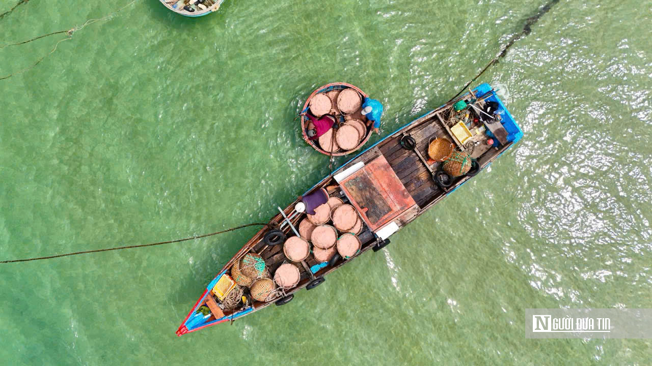 M&ugrave;a ruốc bội thu, b&atilde;i ngang Quảng Ng&atilde;i rộn r&agrave;ng sau Tết- Ảnh 4.