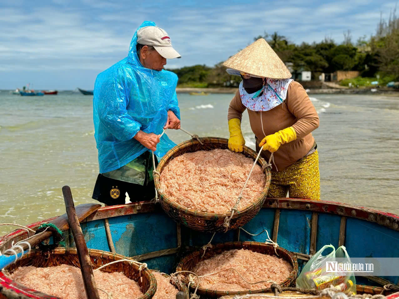 M&ugrave;a ruốc bội thu, b&atilde;i ngang Quảng Ng&atilde;i rộn r&agrave;ng sau Tết- Ảnh 5.