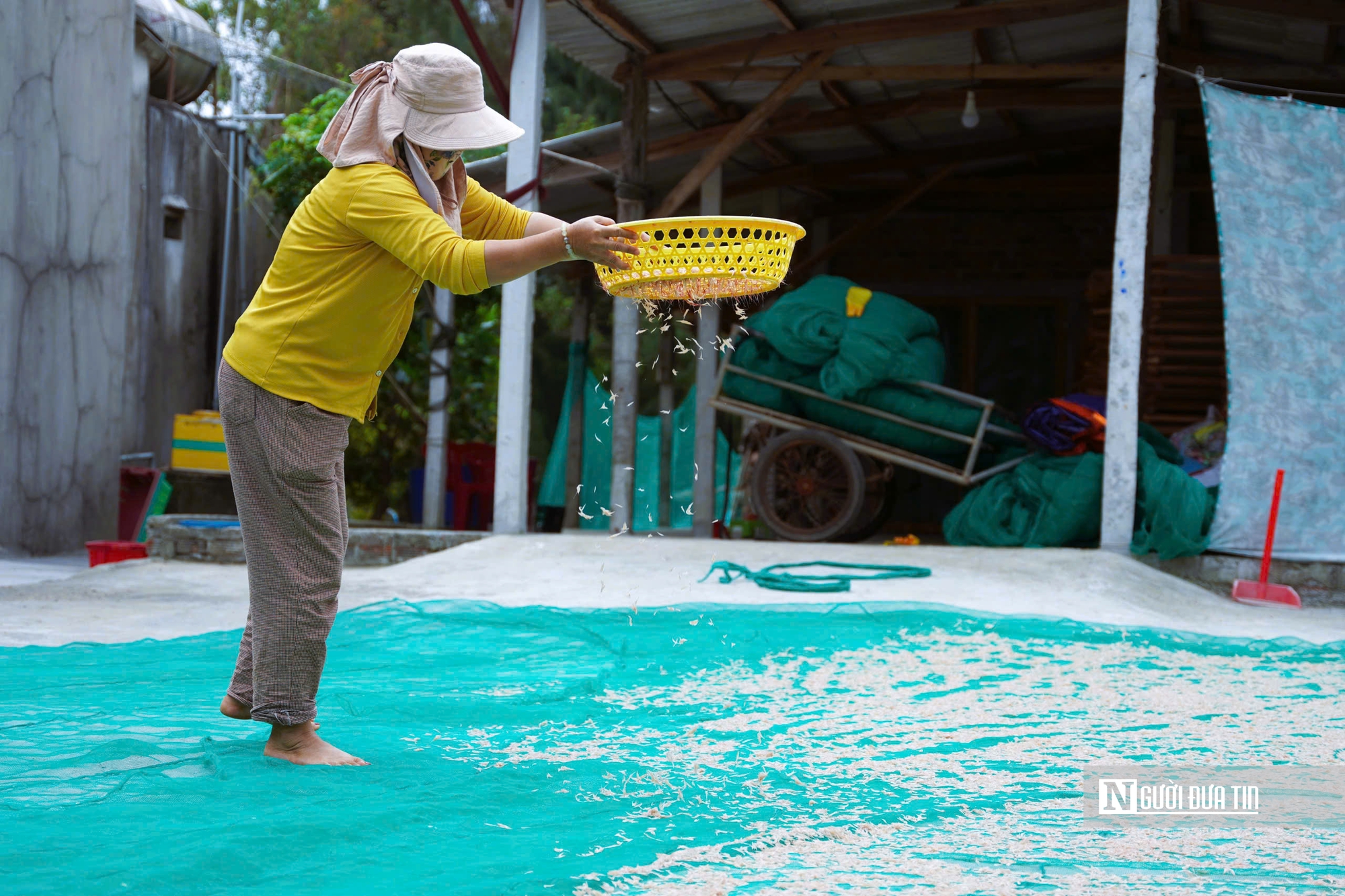 M&ugrave;a ruốc bội thu, b&atilde;i ngang Quảng Ng&atilde;i rộn r&agrave;ng sau Tết- Ảnh 10.
