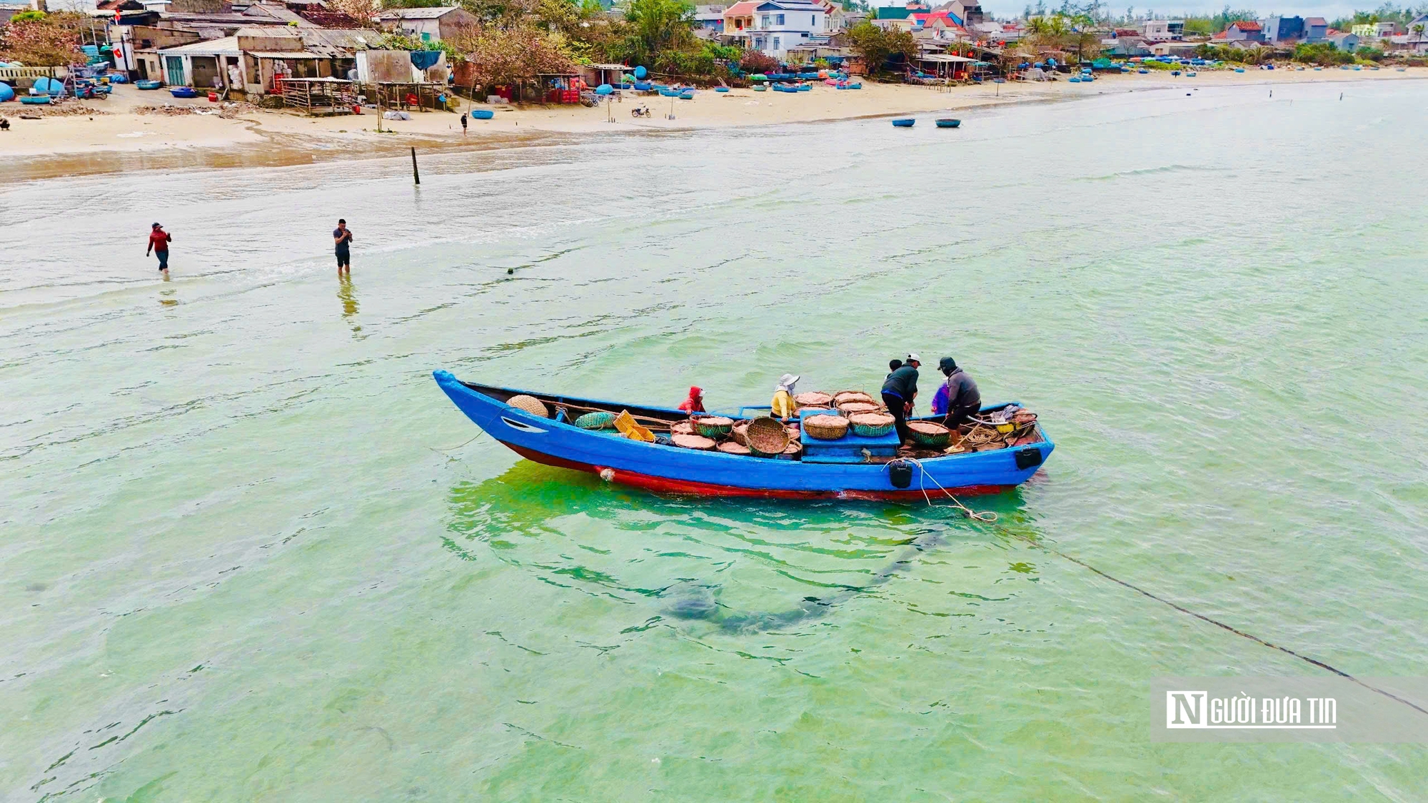 M&ugrave;a ruốc bội thu, b&atilde;i ngang Quảng Ng&atilde;i rộn r&agrave;ng sau Tết- Ảnh 12.