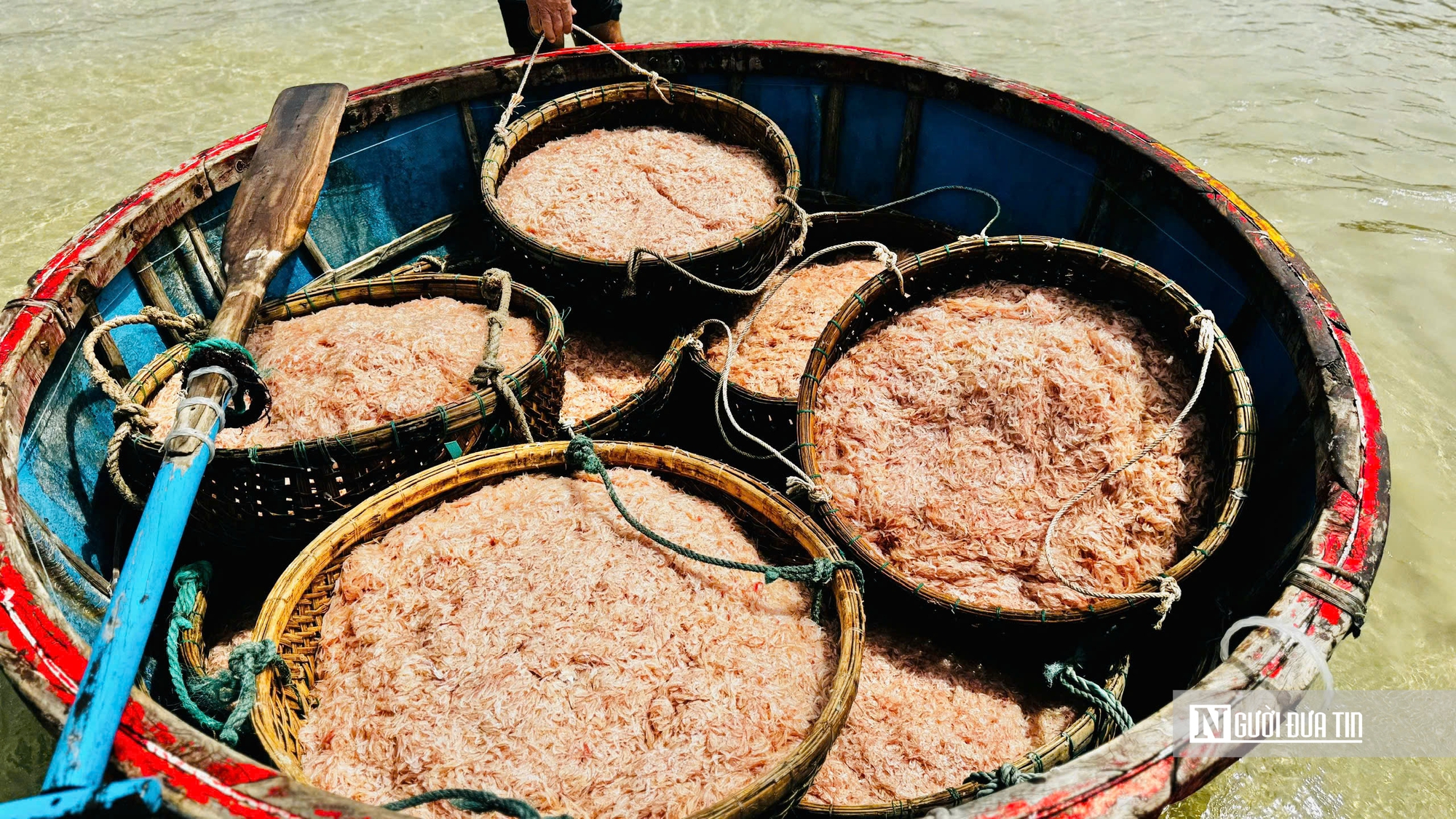 M&ugrave;a ruốc bội thu, b&atilde;i ngang Quảng Ng&atilde;i rộn r&agrave;ng sau Tết- Ảnh 13.