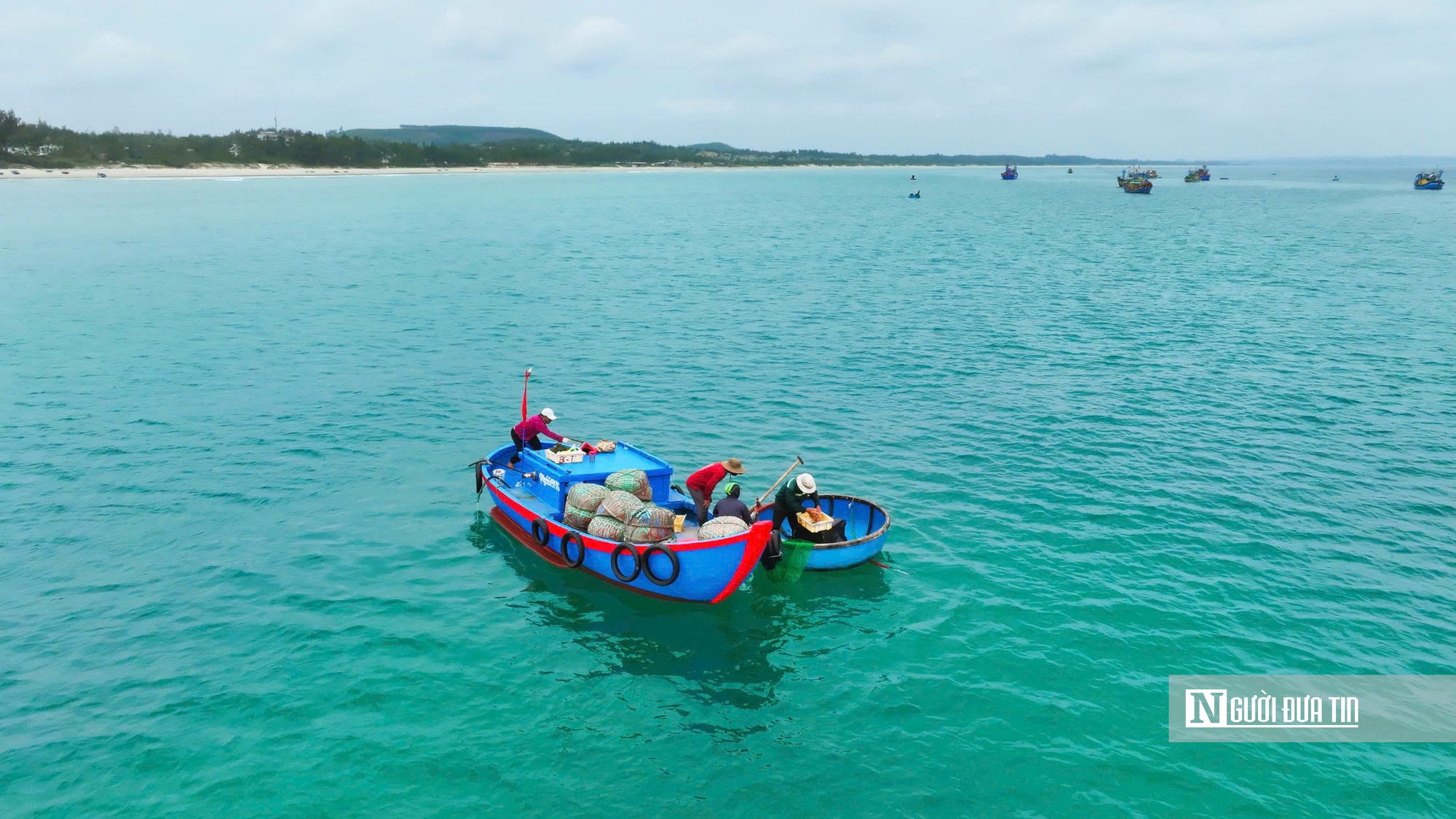 Mùa ruốc bội thu, bãi ngang Quảng Ngãi rộn ràng sau Tết- Ảnh 1. Mùa ruốc bội thu, bãi ngang Quảng Ngãi rộn ràng sau Tết- Ảnh 1.