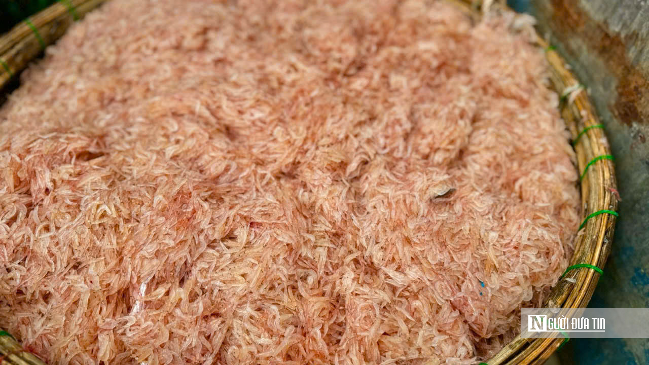 Mùa ruốc bội thu, bãi ngang Quảng Ngãi rộn ràng sau Tết- Ảnh 9. Mùa ruốc bội thu, bãi ngang Quảng Ngãi rộn ràng sau Tết- Ảnh 9.