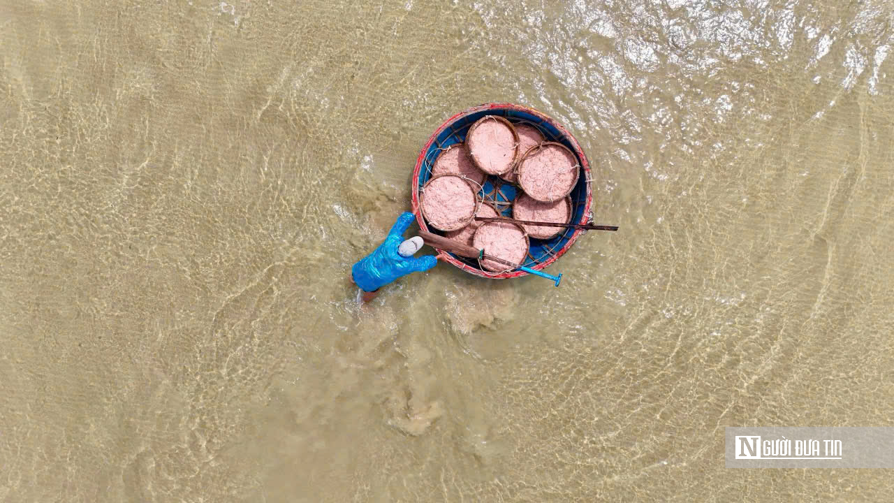 Mùa ruốc bội thu, bãi ngang Quảng Ngãi rộn ràng sau Tết- Ảnh 11. Mùa ruốc bội thu, bãi ngang Quảng Ngãi rộn ràng sau Tết- Ảnh 11.