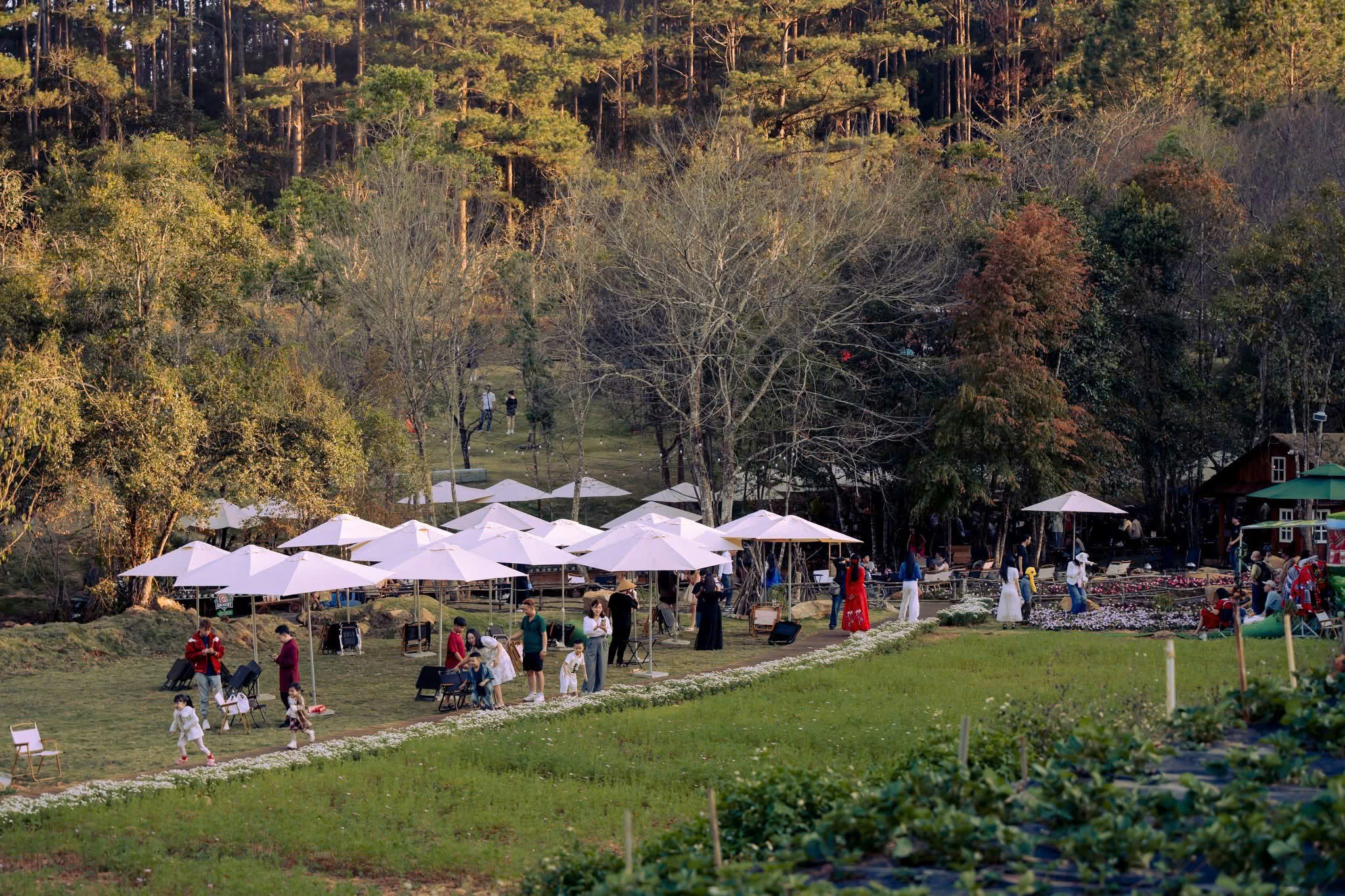 Đẩy mạnh kích cầu, mở rộng kết nối đường bộ du lịch lịch khi sân bay Liên Khương tạm đóng cửa - Ảnh 8.