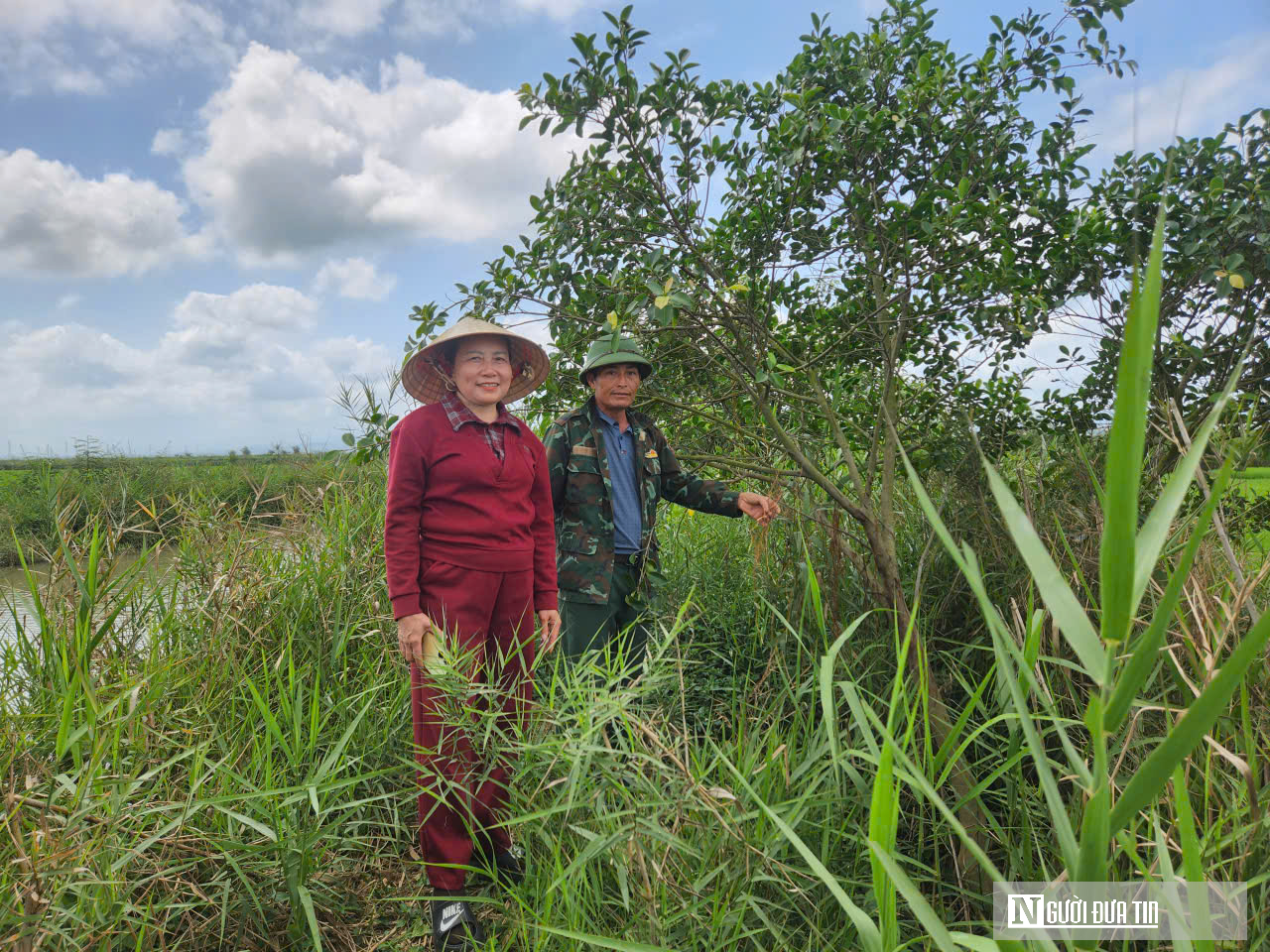 Lão nông trên phá Hạc Hải – Bài 1: