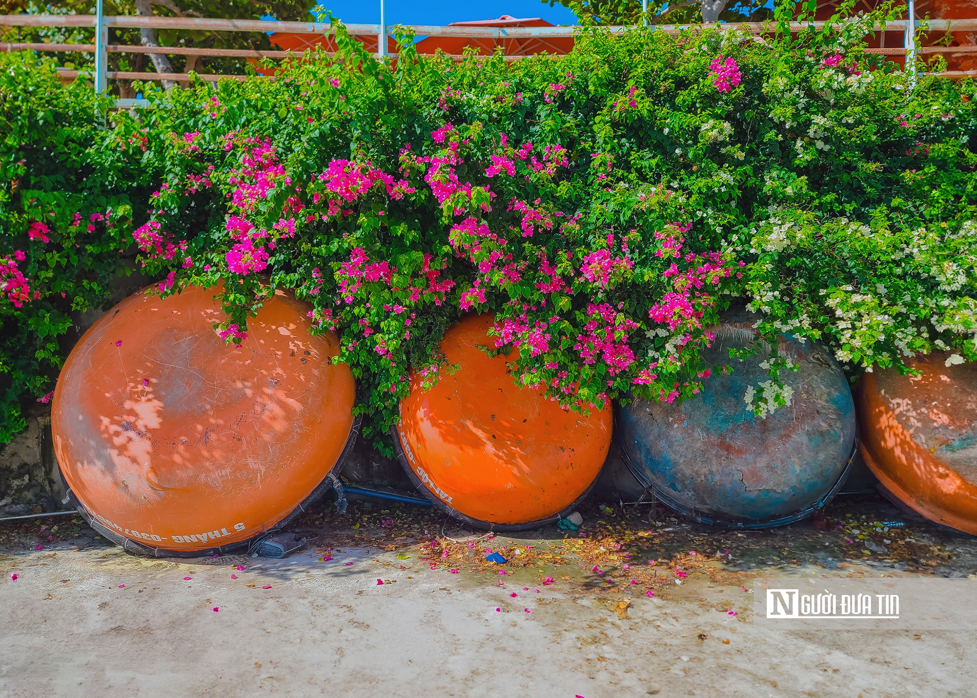 Du kh&aacute;ch &ugrave;n &ugrave;n đến check-in cung đường ven biển như tranh vẽ ở Đắk Lắk- Ảnh 18.