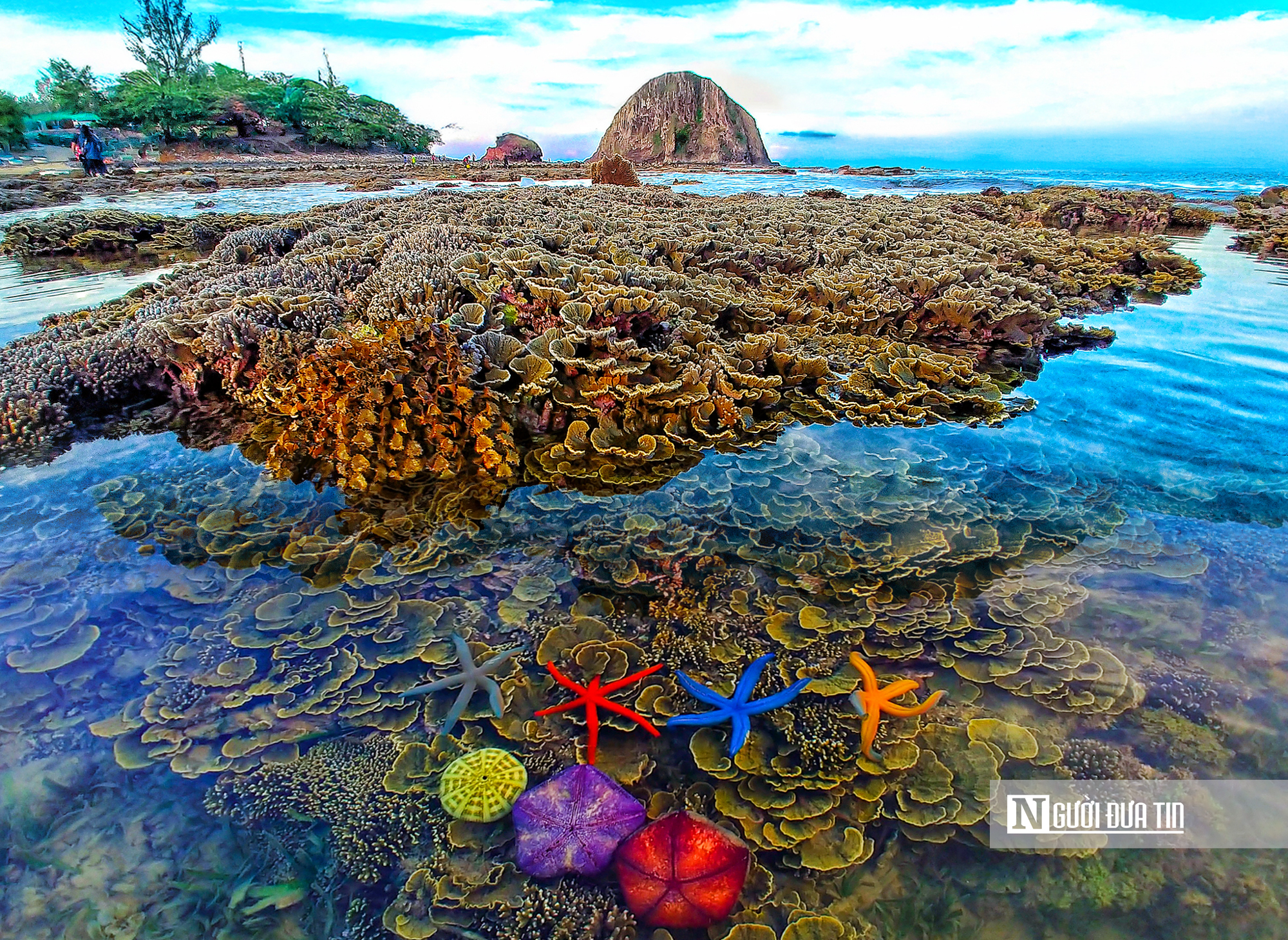 Du kh&aacute;ch &ugrave;n &ugrave;n đến check-in cung đường ven biển như tranh vẽ ở Đắk Lắk- Ảnh 19.