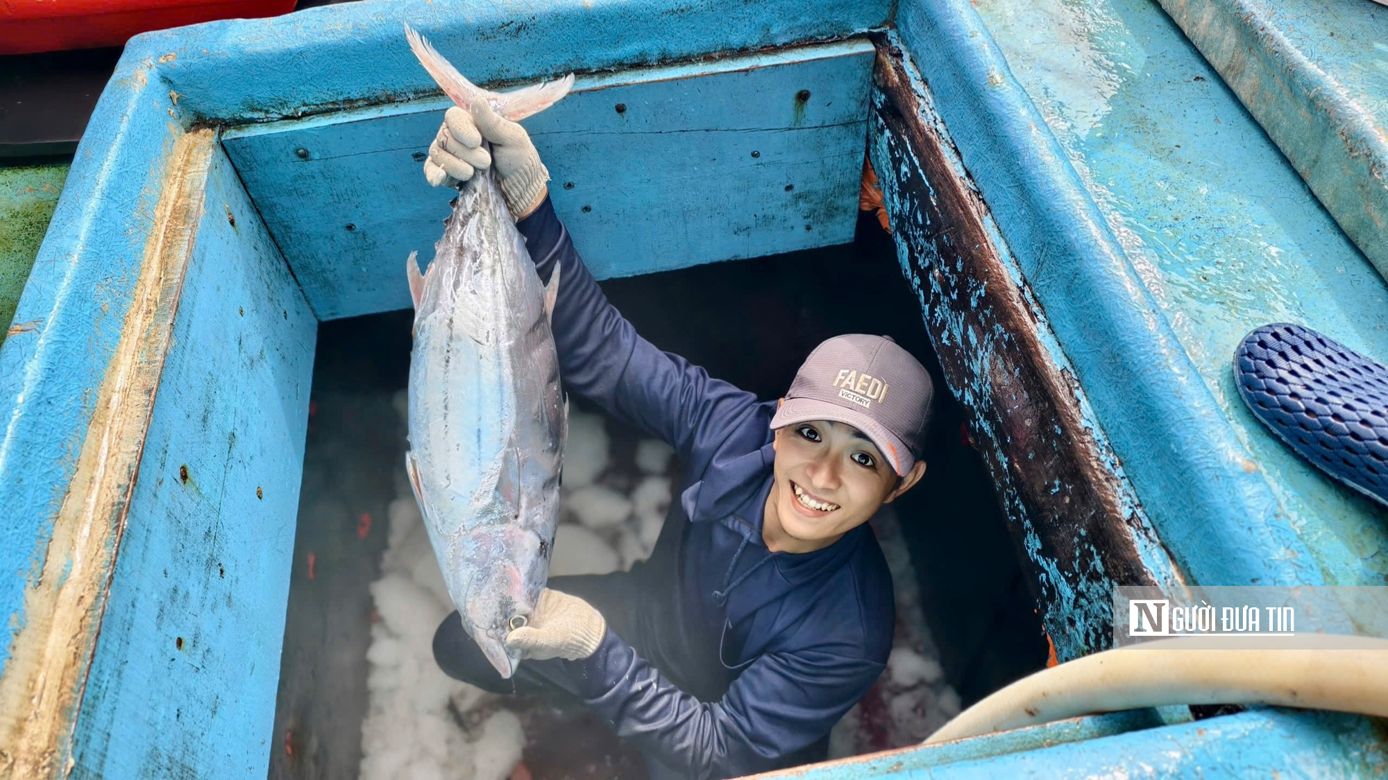 Cận cảnh đầy k&iacute;n hầm c&aacute; ngừ đại dương sau chuyến biển 2 tuần của ngư d&acirc;n Quảng Ng&atilde;i- Ảnh 1.