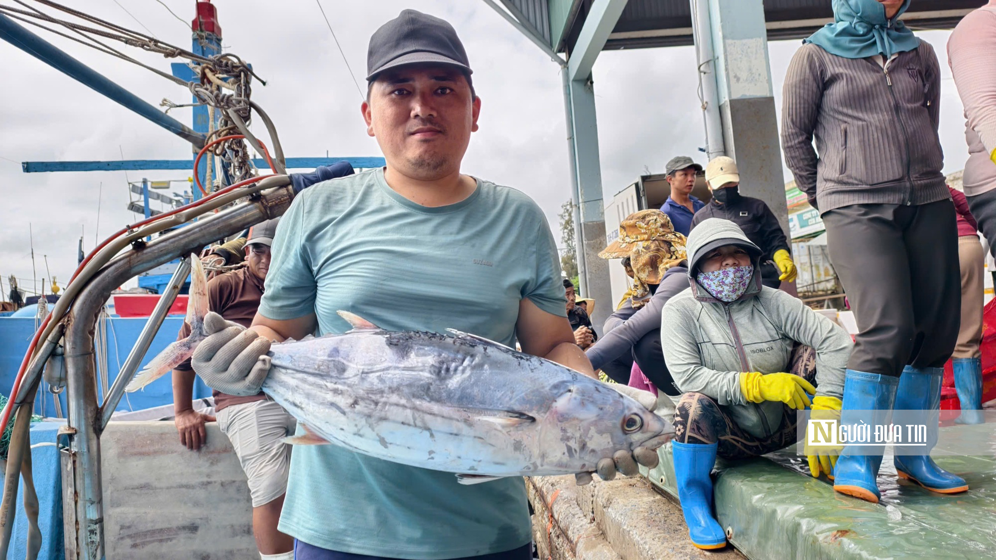 Cận cảnh đầy k&iacute;n hầm c&aacute; ngừ đại dương sau chuyến biển 2 tuần của ngư d&acirc;n Quảng Ng&atilde;i- Ảnh 6.