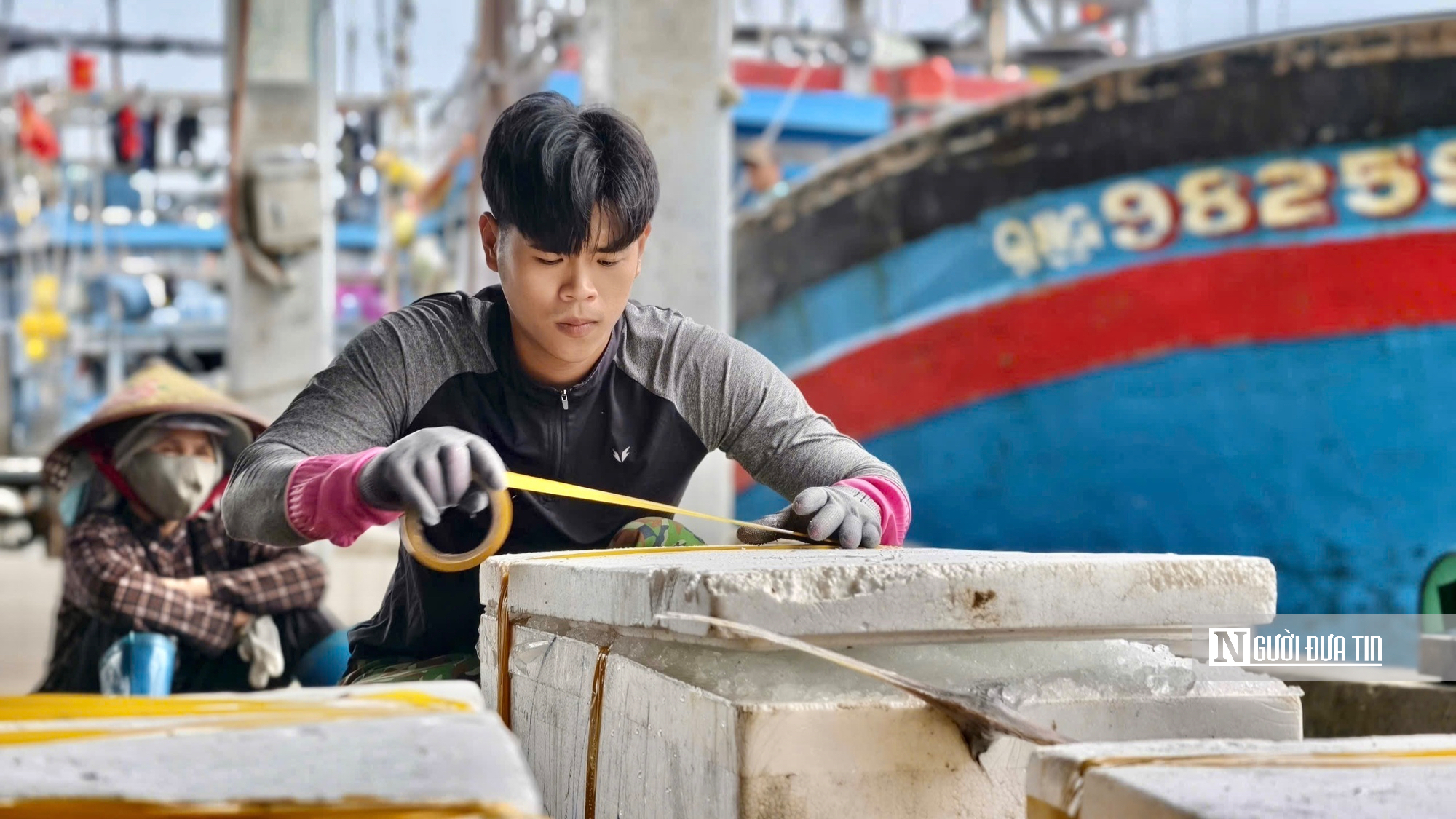 Cận cảnh đầy k&iacute;n hầm c&aacute; ngừ đại dương sau chuyến biển 2 tuần của ngư d&acirc;n Quảng Ng&atilde;i- Ảnh 9.