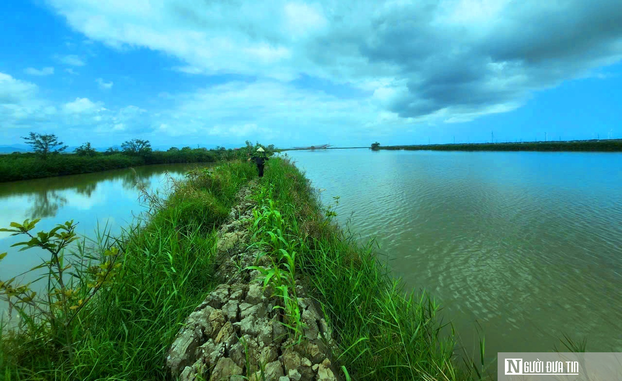 Chuyện lão nông ở phá Hạc Hải – kỳ cuối: Mô hình kinh tế cho thu nhập “khủng” mỗi năm - Ảnh 2.