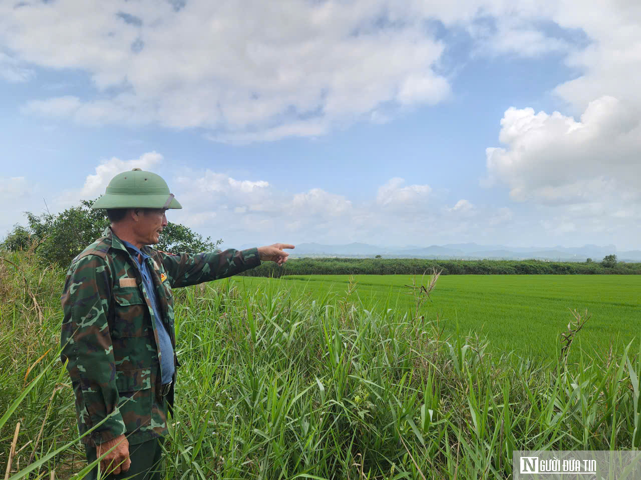 Chuyện lão nông ở phá Hạc Hải – kỳ cuối: Mô hình kinh tế cho thu nhập “khủng” mỗi năm - Ảnh 5.