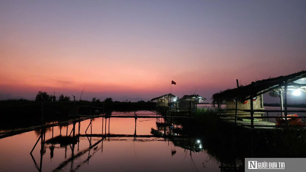 Chuyện lão nông ở phá Hạc Hải – kỳ cuối: Mô hình kinh tế cho thu nhập “khủng” mỗi năm - Ảnh 6.