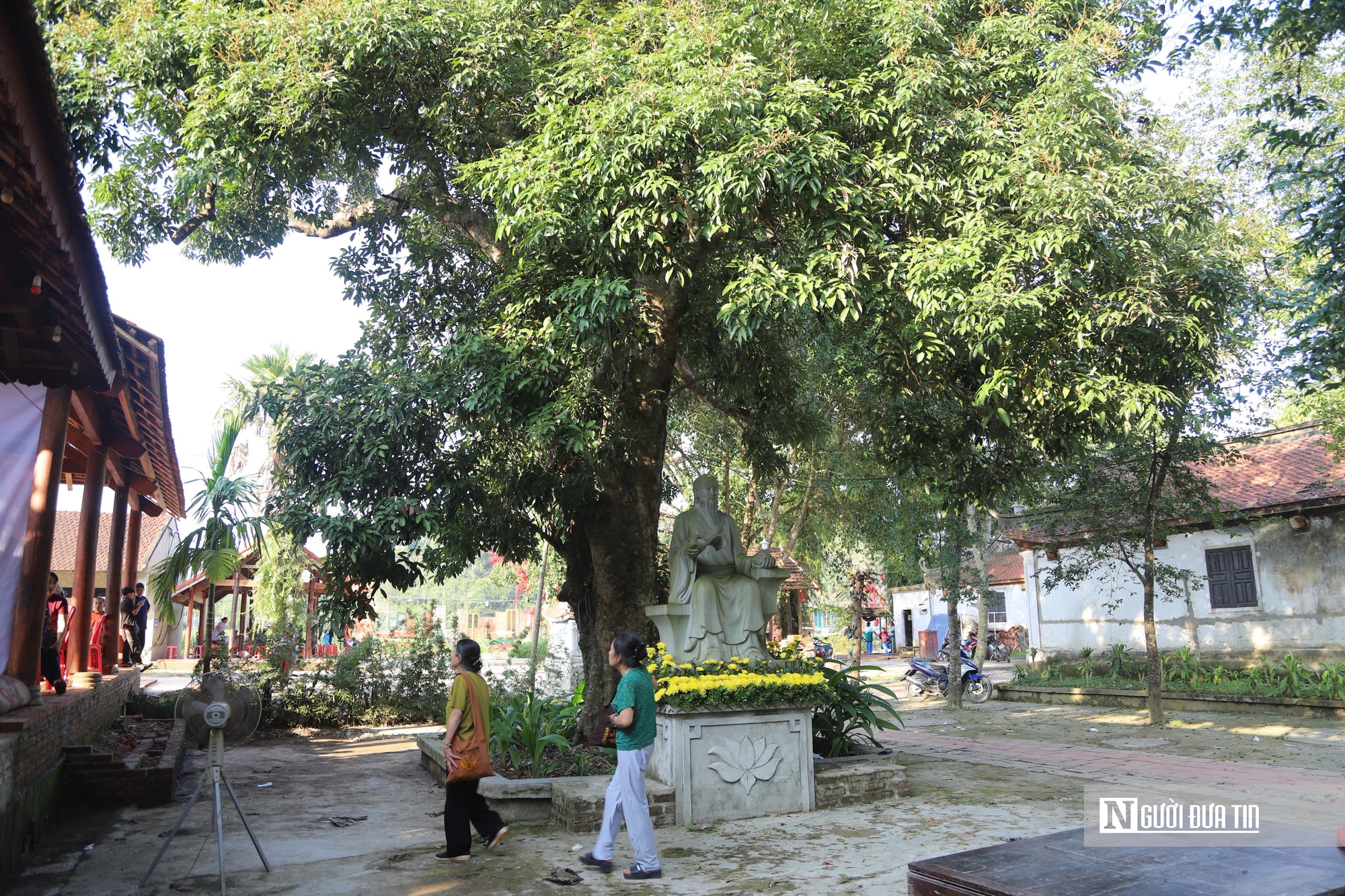 Chiêm ngưỡng cây vải cổ gần 300 năm “lưu giữ” cuộc đời đại danh y Hải thượng Lãn Ông - Ảnh 1.