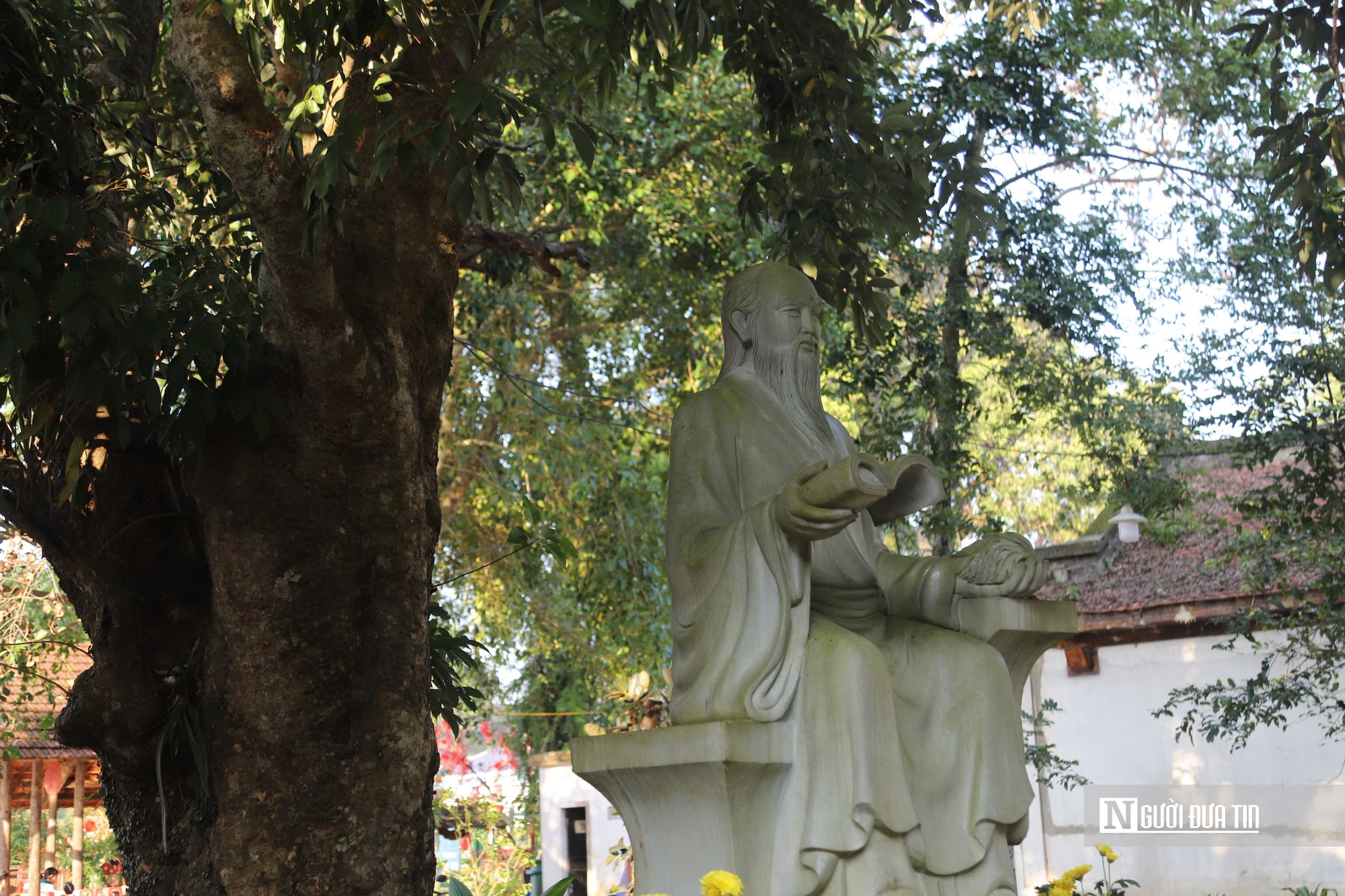 Chiêm ngưỡng cây vải cổ gần 300 năm “lưu giữ” cuộc đời đại danh y Hải thượng Lãn Ông - Ảnh 6.