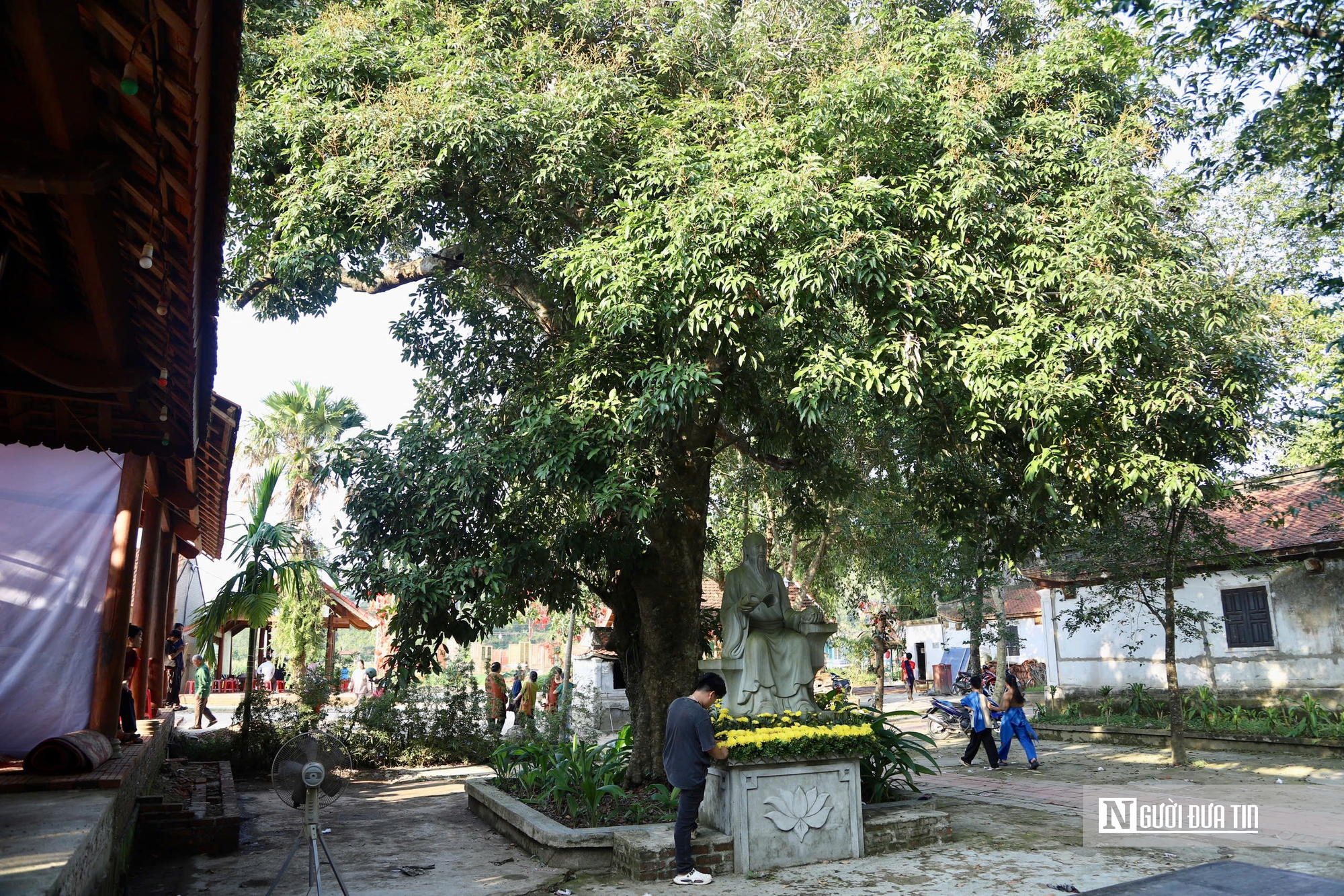 Chiêm ngưỡng cây vải cổ gần 300 năm “lưu giữ” cuộc đời đại danh y Hải thượng Lãn Ông - Ảnh 9.