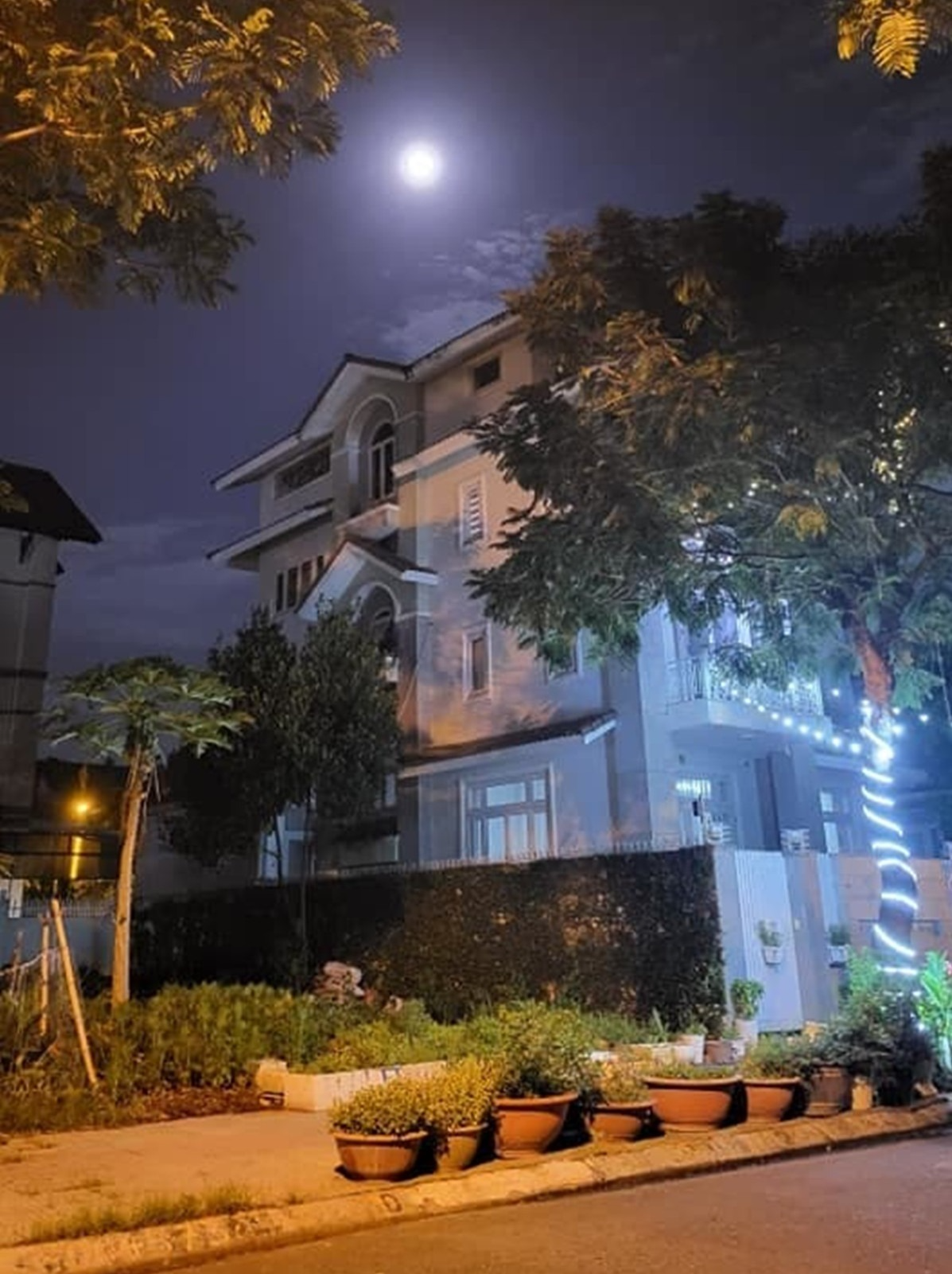 "Nữ ho&agrave;ng d&acirc;n ca" v&agrave; điều kỳ lạ trong khu vườn ở biệt thự triệu đ&ocirc;  - Ảnh 4.