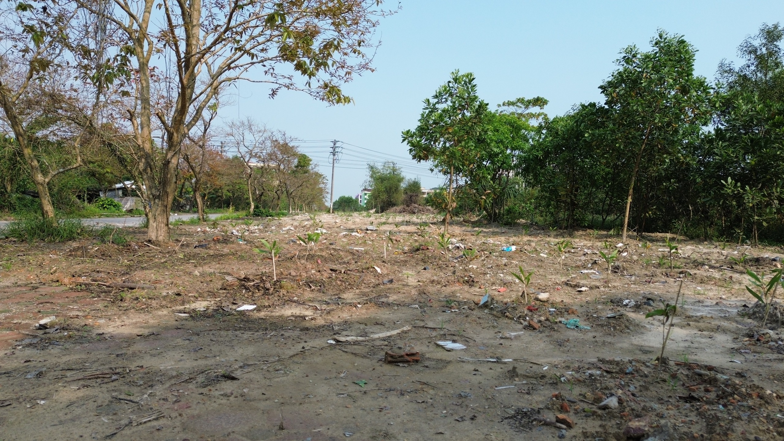 VIDEO: Khu quy hoạch Đại học ở Huế từng ngập ngụa rác thải ‘lột xác’  - Ảnh 4.